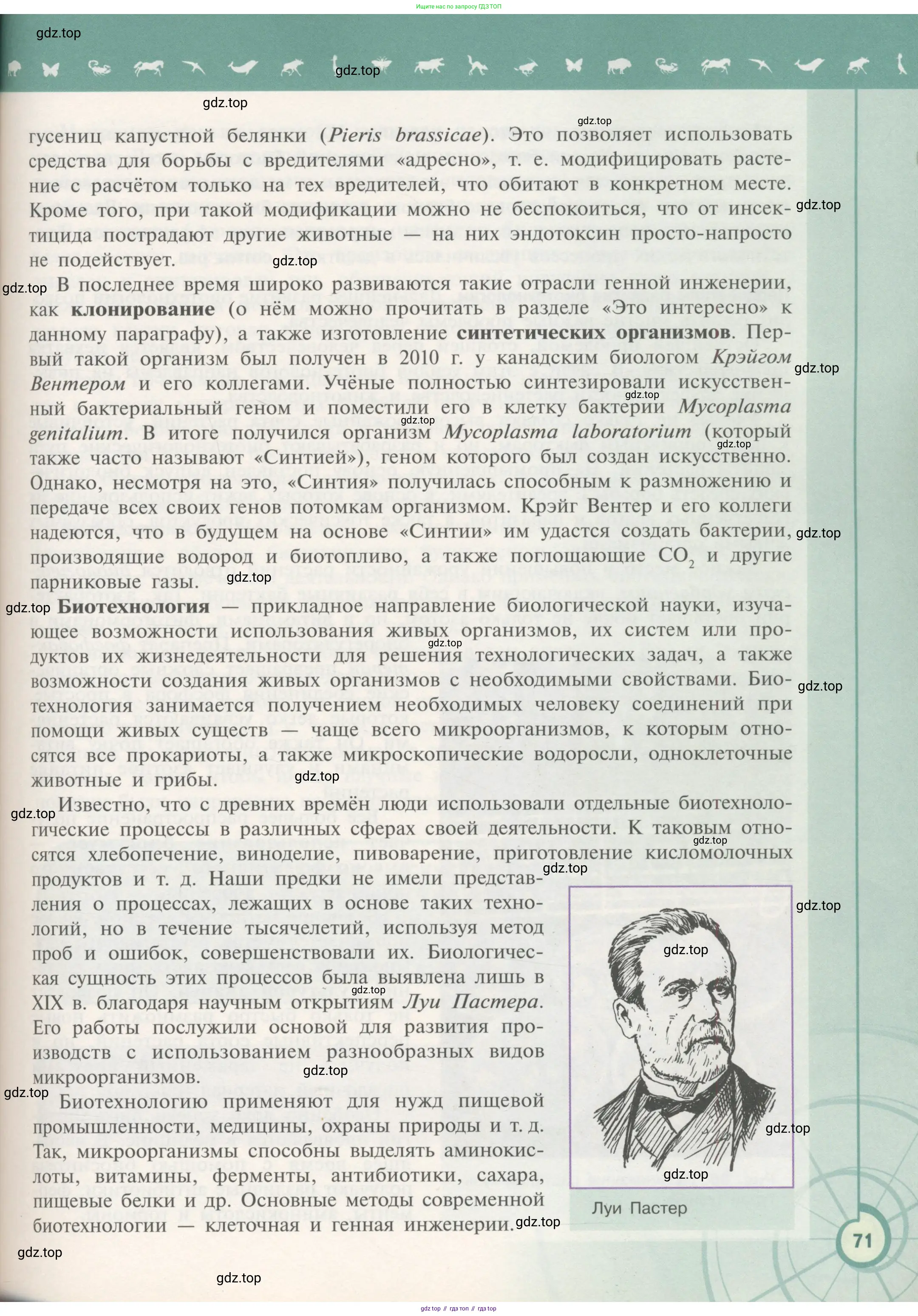 Биология, 11 класс Учебник, авторы: Пасечник Владимир Васильевич, Каменский Андрей Александрович, Рубцов Александр Михайлович, Швецов Глеб Геннадьевич, Гапонюк Зоя Георгиевна, издательство Просвещение, Москва, 2018, страница 71