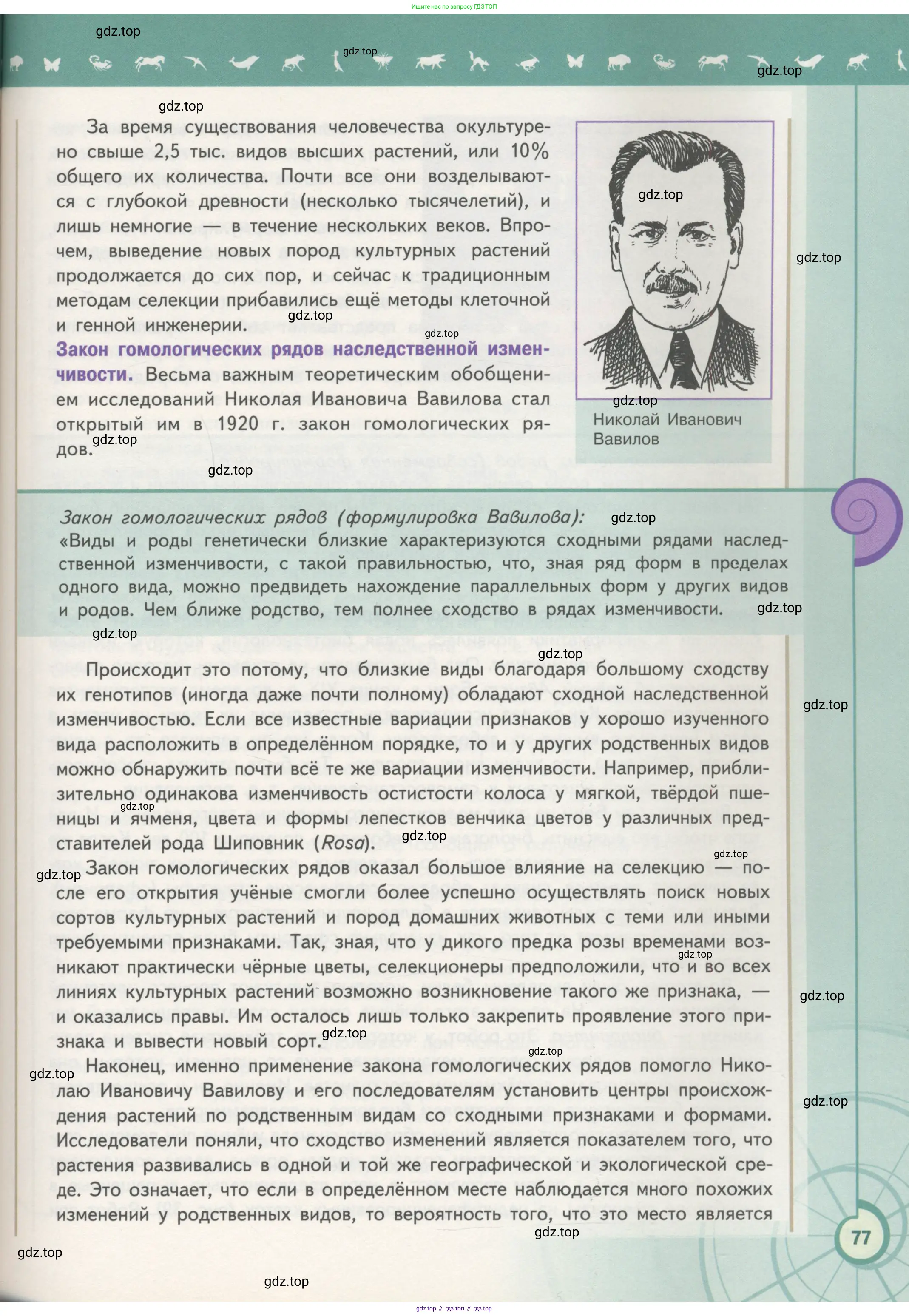 Биология, 11 класс Учебник, авторы: Пасечник Владимир Васильевич, Каменский Андрей Александрович, Рубцов Александр Михайлович, Швецов Глеб Геннадьевич, Гапонюк Зоя Георгиевна, издательство Просвещение, Москва, 2018, страница 77
