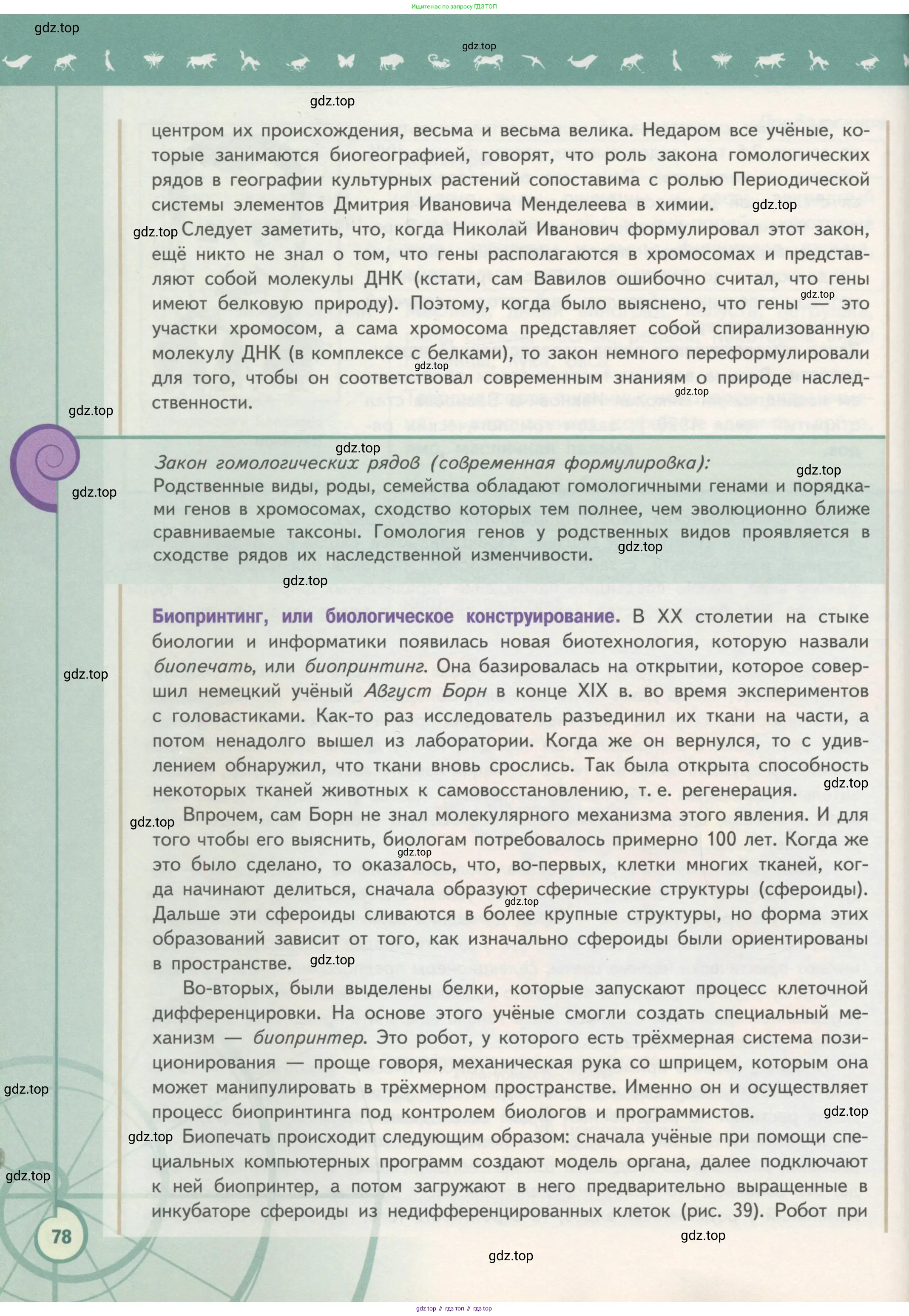 Биология, 11 класс Учебник, авторы: Пасечник Владимир Васильевич, Каменский Андрей Александрович, Рубцов Александр Михайлович, Швецов Глеб Геннадьевич, Гапонюк Зоя Георгиевна, издательство Просвещение, Москва, 2018, страница 78