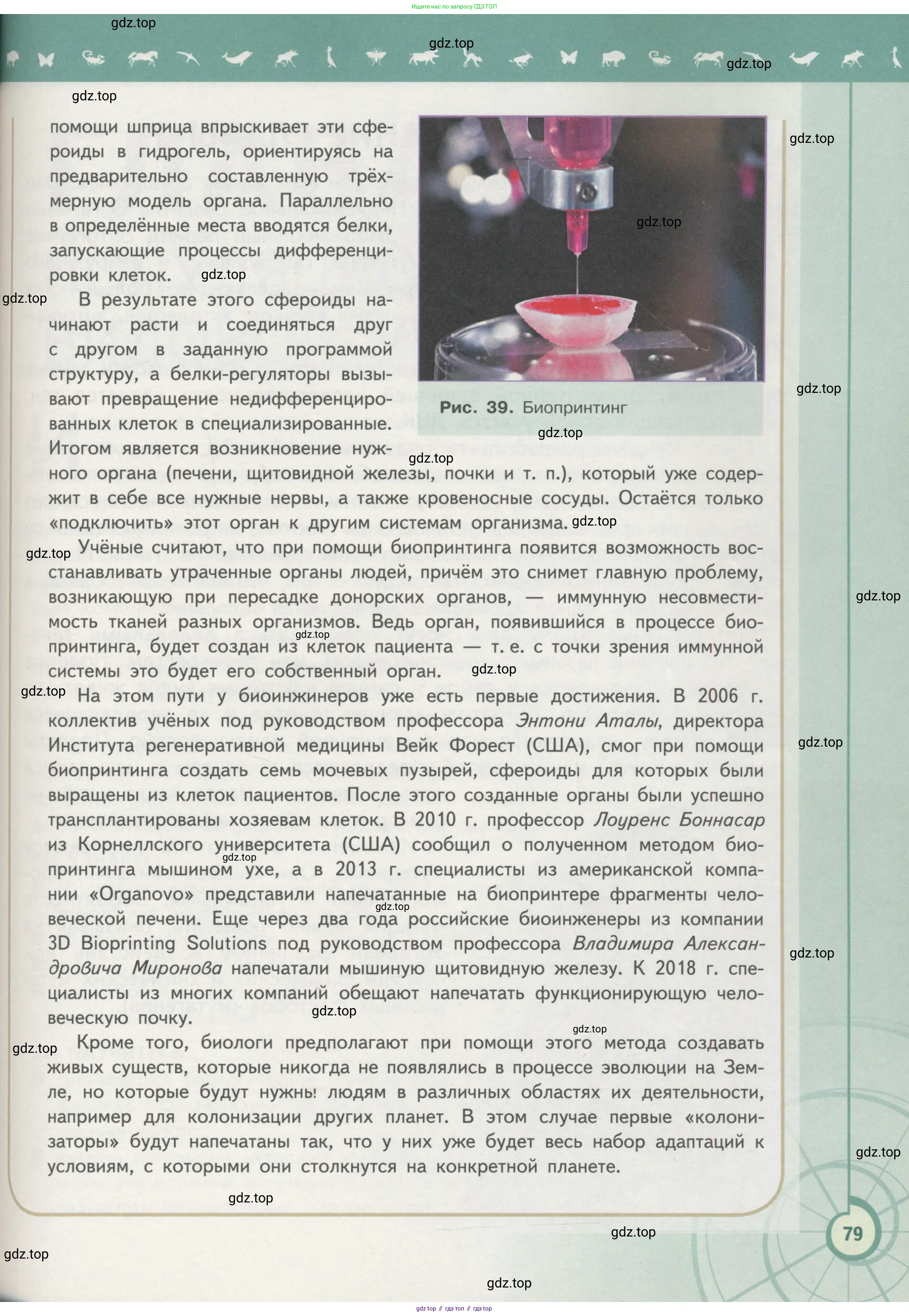 Биология, 11 класс Учебник, авторы: Пасечник Владимир Васильевич, Каменский Андрей Александрович, Рубцов Александр Михайлович, Швецов Глеб Геннадьевич, Гапонюк Зоя Георгиевна, издательство Просвещение, Москва, 2018, страница 79