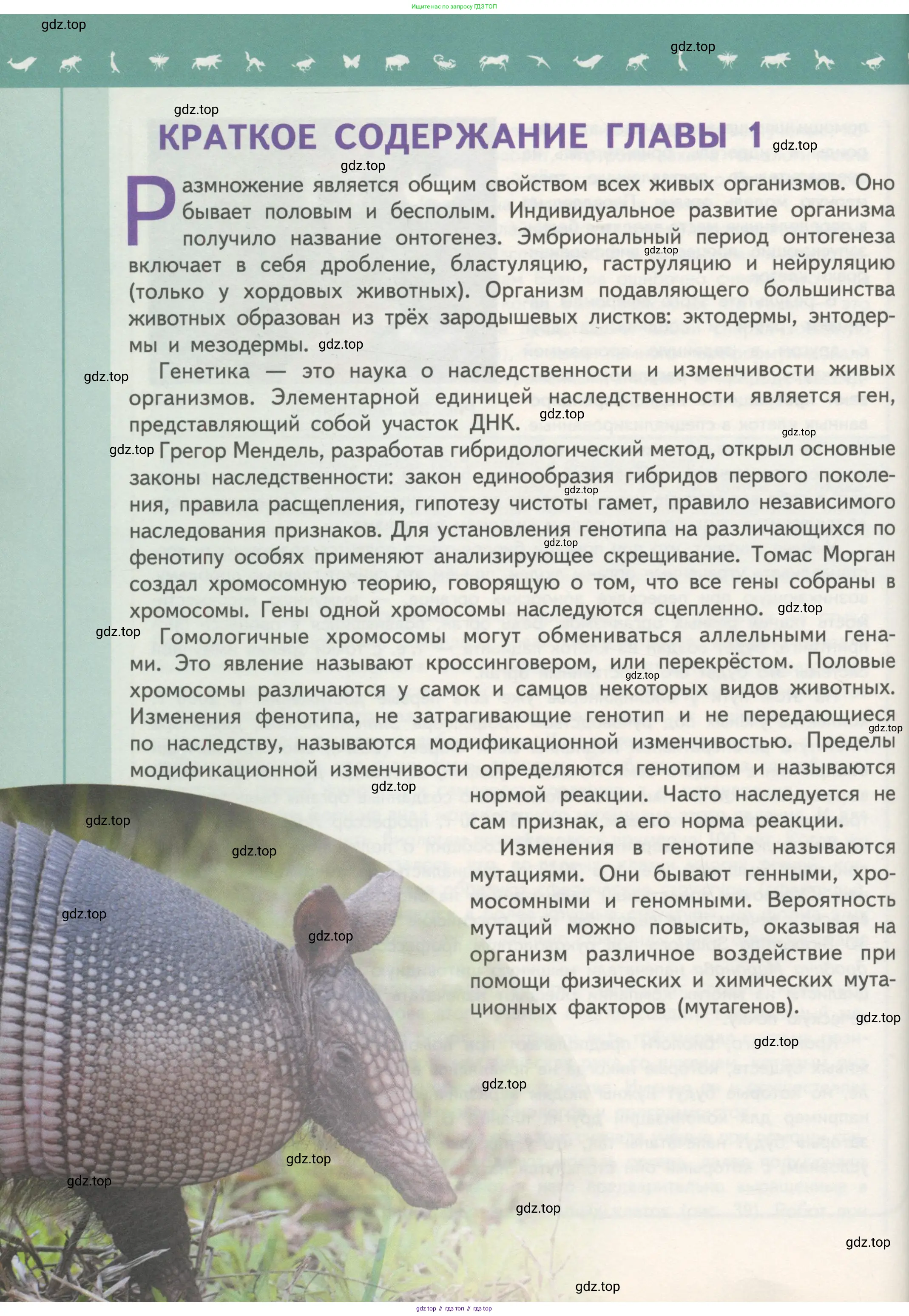 Биология, 11 класс Учебник, авторы: Пасечник Владимир Васильевич, Каменский Андрей Александрович, Рубцов Александр Михайлович, Швецов Глеб Геннадьевич, Гапонюк Зоя Георгиевна, издательство Просвещение, Москва, 2018, страница 80