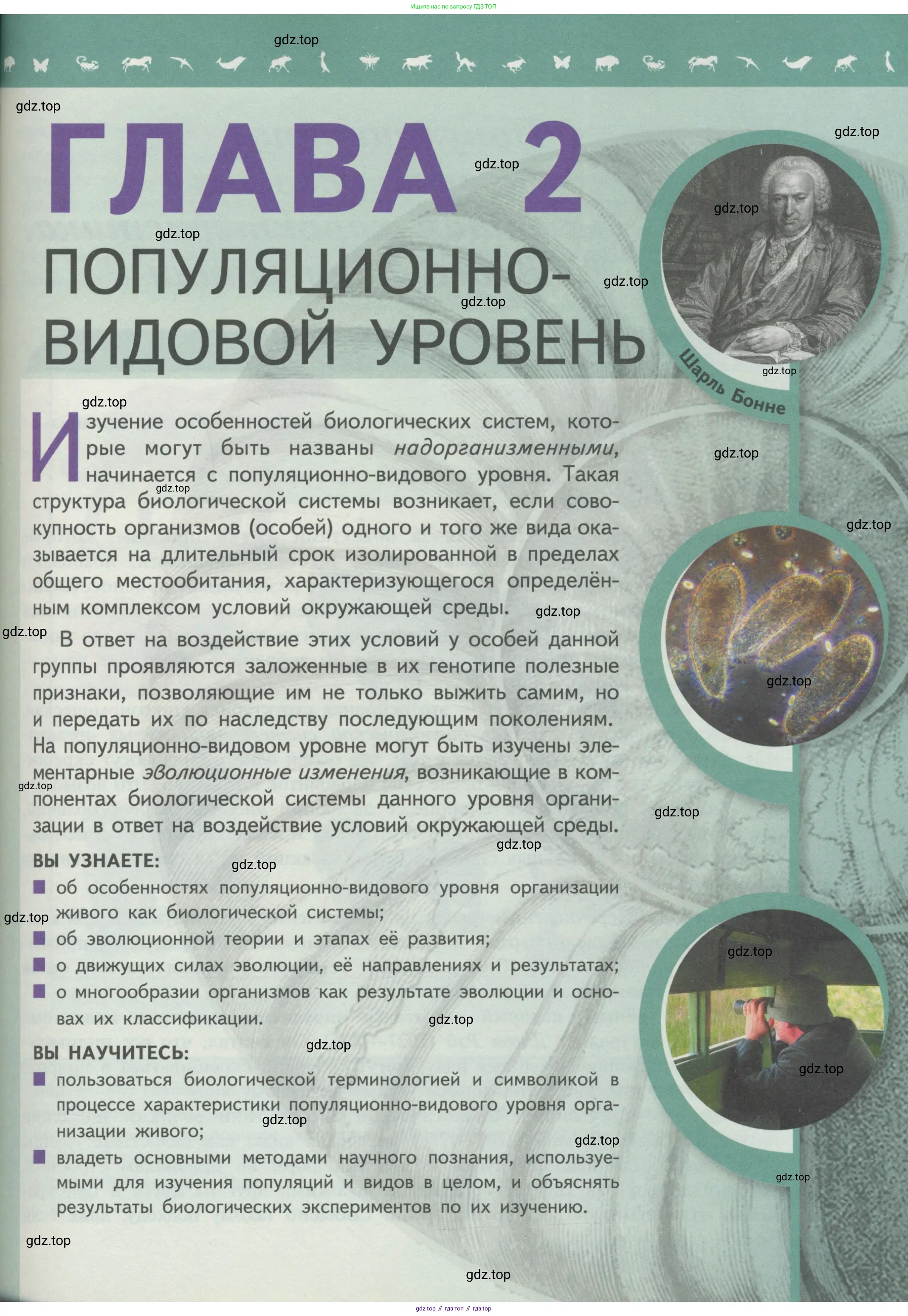 Биология, 11 класс Учебник, авторы: Пасечник Владимир Васильевич, Каменский Андрей Александрович, Рубцов Александр Михайлович, Швецов Глеб Геннадьевич, Гапонюк Зоя Георгиевна, издательство Просвещение, Москва, 2018, страница 81