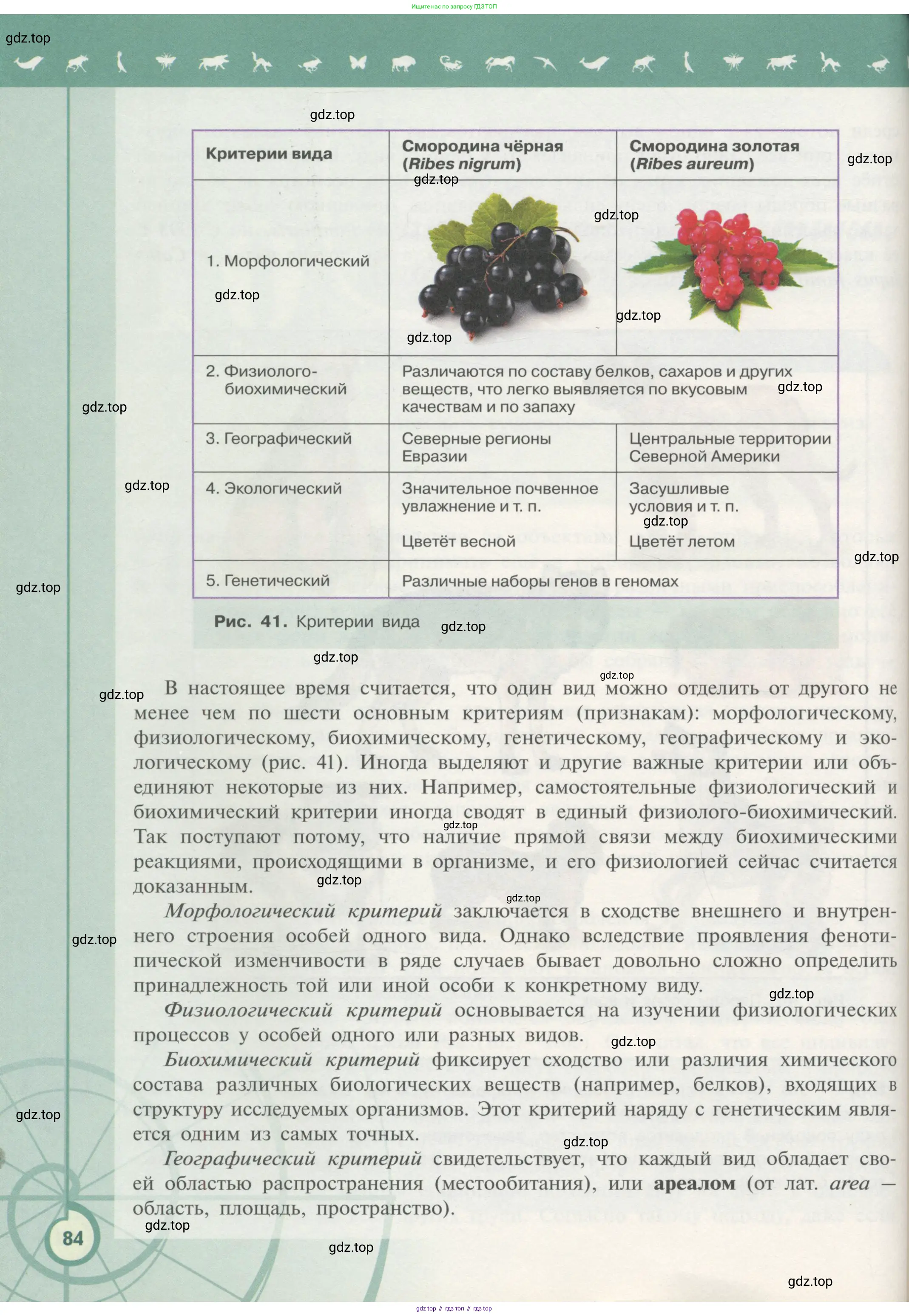 Биология, 11 класс Учебник, авторы: Пасечник Владимир Васильевич, Каменский Андрей Александрович, Рубцов Александр Михайлович, Швецов Глеб Геннадьевич, Гапонюк Зоя Георгиевна, издательство Просвещение, Москва, 2018, страница 84
