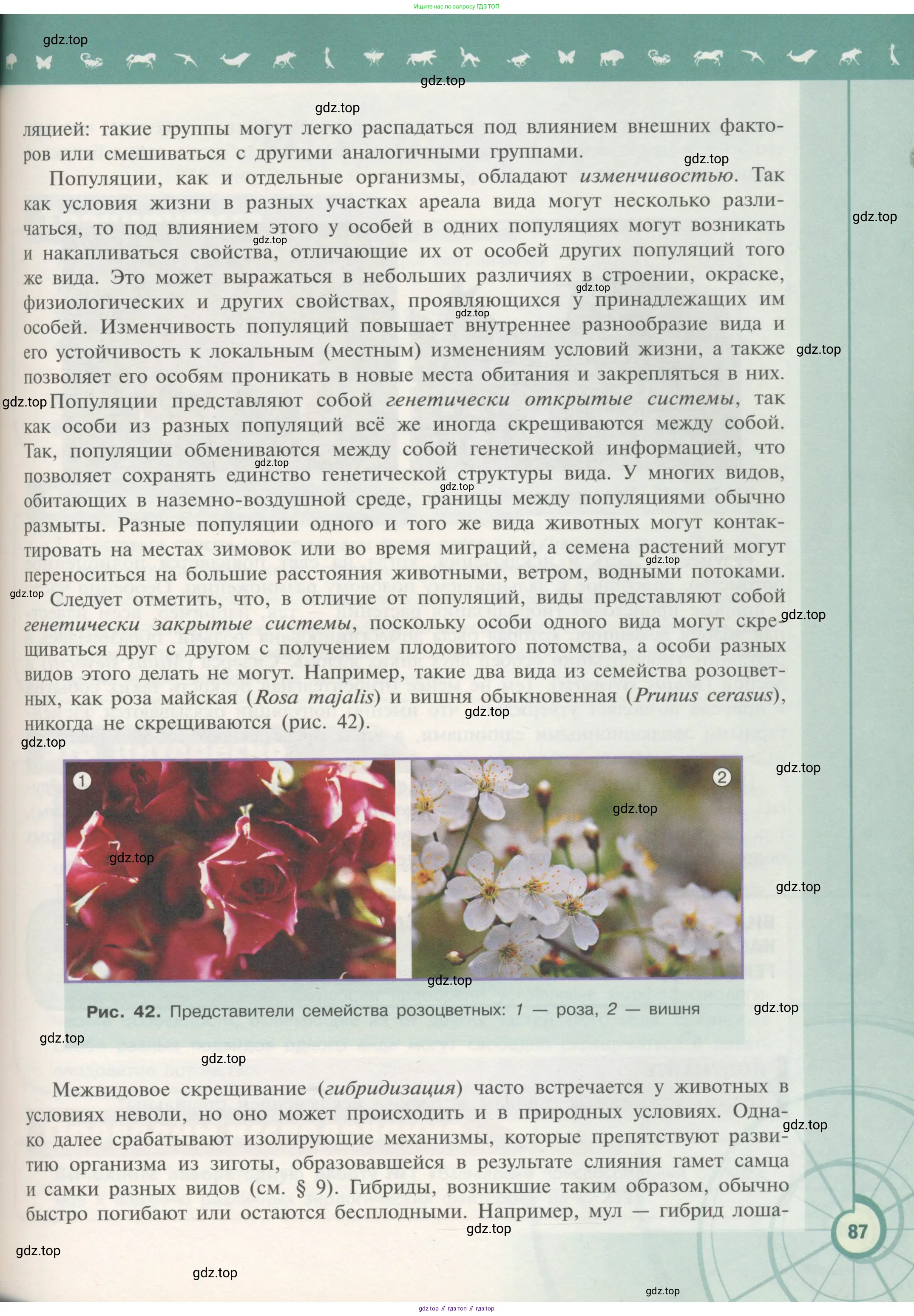 Биология, 11 класс Учебник, авторы: Пасечник Владимир Васильевич, Каменский Андрей Александрович, Рубцов Александр Михайлович, Швецов Глеб Геннадьевич, Гапонюк Зоя Георгиевна, издательство Просвещение, Москва, 2018, страница 87