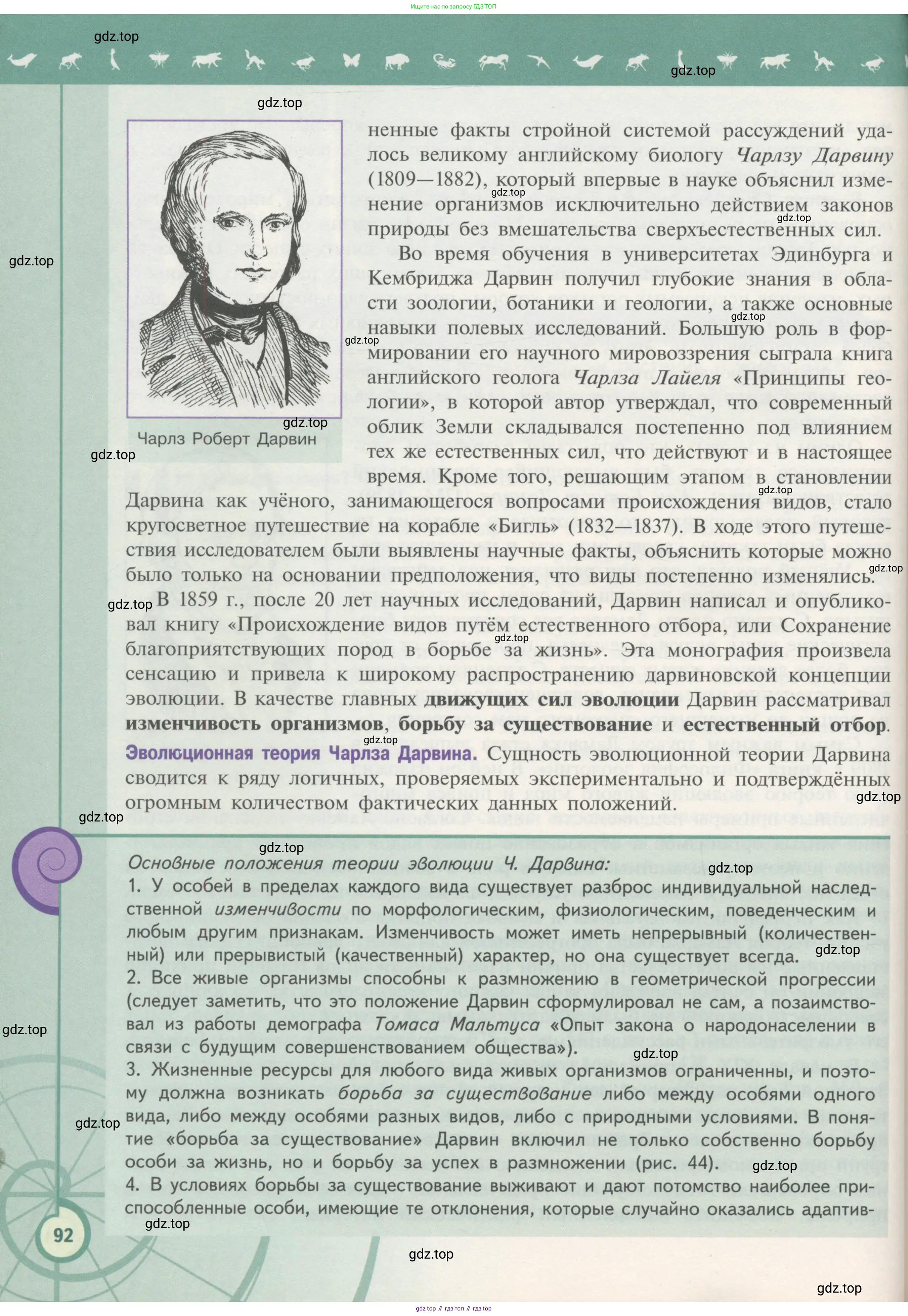 Биология, 11 класс Учебник, авторы: Пасечник Владимир Васильевич, Каменский Андрей Александрович, Рубцов Александр Михайлович, Швецов Глеб Геннадьевич, Гапонюк Зоя Георгиевна, издательство Просвещение, Москва, 2018, страница 92