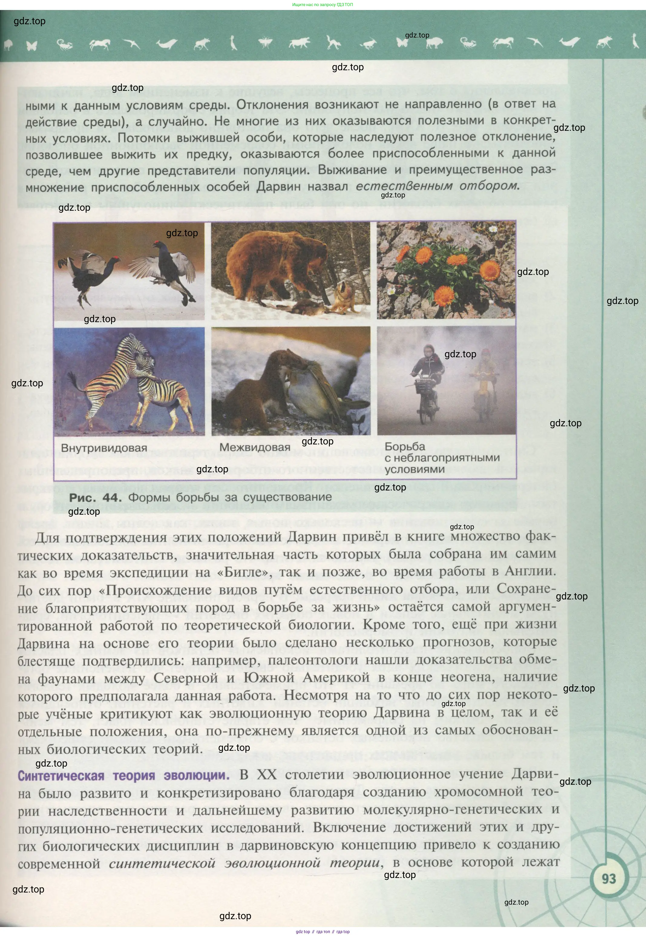 Биология, 11 класс Учебник, авторы: Пасечник Владимир Васильевич, Каменский Андрей Александрович, Рубцов Александр Михайлович, Швецов Глеб Геннадьевич, Гапонюк Зоя Георгиевна, издательство Просвещение, Москва, 2018, страница 93
