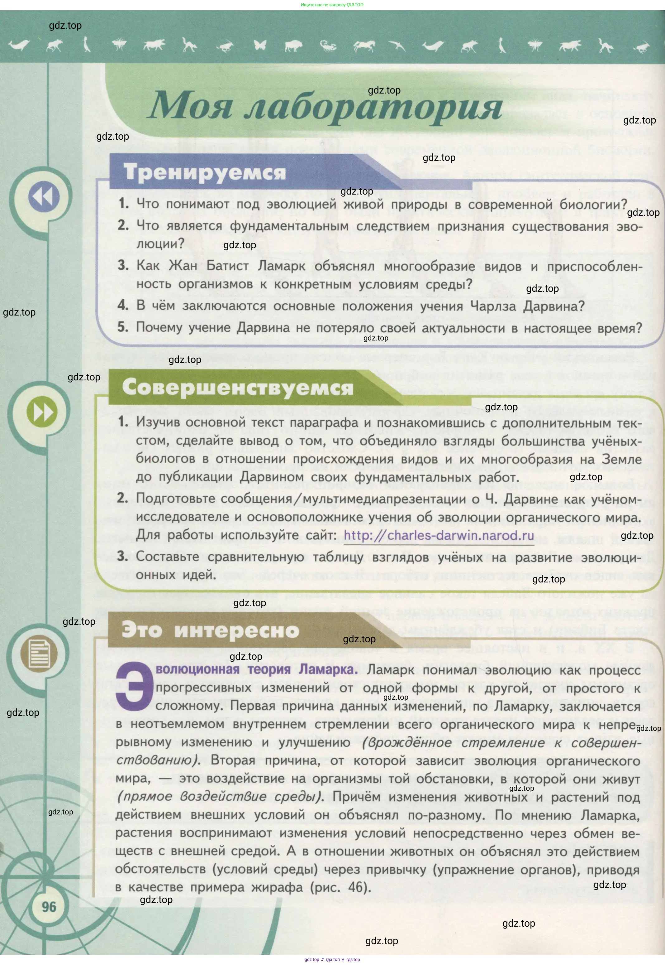 Биология, 11 класс Учебник, авторы: Пасечник Владимир Васильевич, Каменский Андрей Александрович, Рубцов Александр Михайлович, Швецов Глеб Геннадьевич, Гапонюк Зоя Георгиевна, издательство Просвещение, Москва, 2018, страница 96