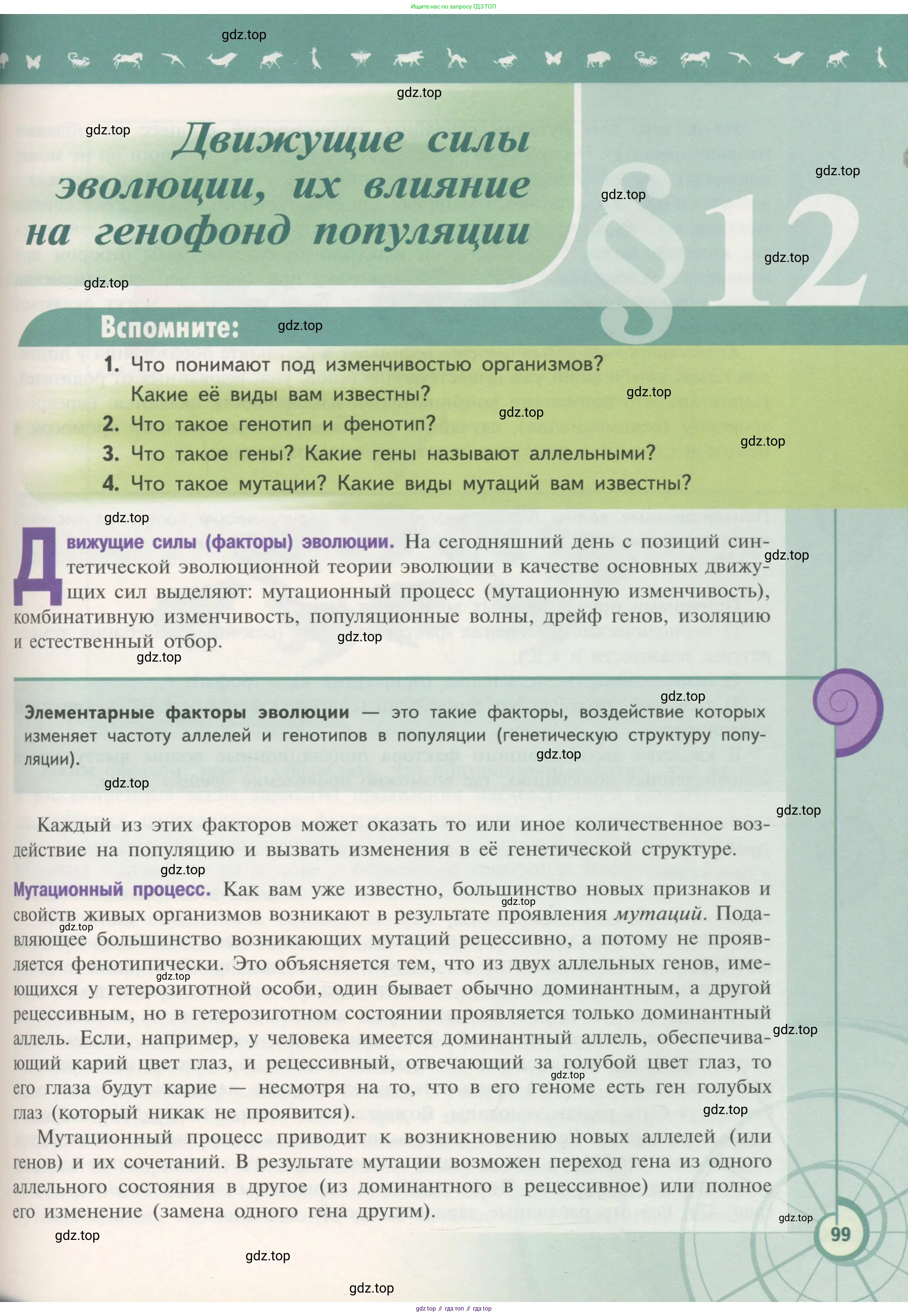 Биология, 11 класс Учебник, авторы: Пасечник Владимир Васильевич, Каменский Андрей Александрович, Рубцов Александр Михайлович, Швецов Глеб Геннадьевич, Гапонюк Зоя Георгиевна, издательство Просвещение, Москва, 2018, страница 99