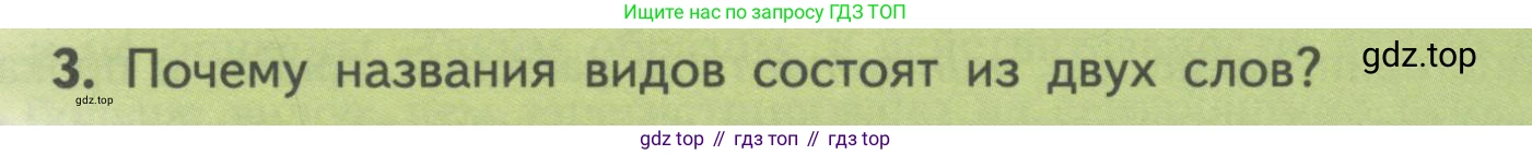 Биология, 11 класс Учебник, авторы: Пасечник Владимир Васильевич, Каменский Андрей Александрович, Рубцов Александр Михайлович, Швецов Глеб Геннадьевич, Гапонюк Зоя Георгиевна, издательство Просвещение, Москва, 2018, страница 127, номер 3, Условие