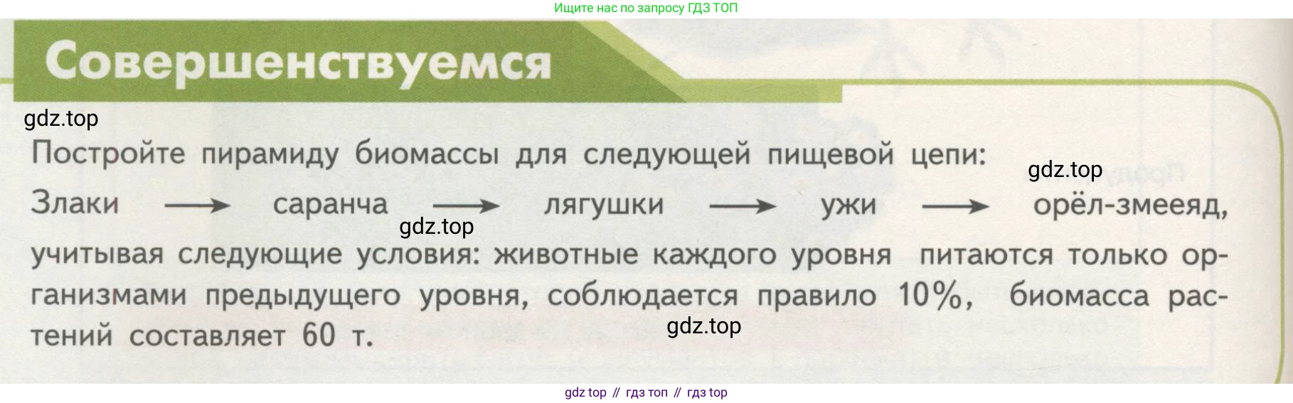 Биология, 11 класс Учебник, авторы: Пасечник Владимир Васильевич, Каменский Андрей Александрович, Рубцов Александр Михайлович, Швецов Глеб Геннадьевич, Гапонюк Зоя Георгиевна, издательство Просвещение, Москва, 2018, страница 174, Условие