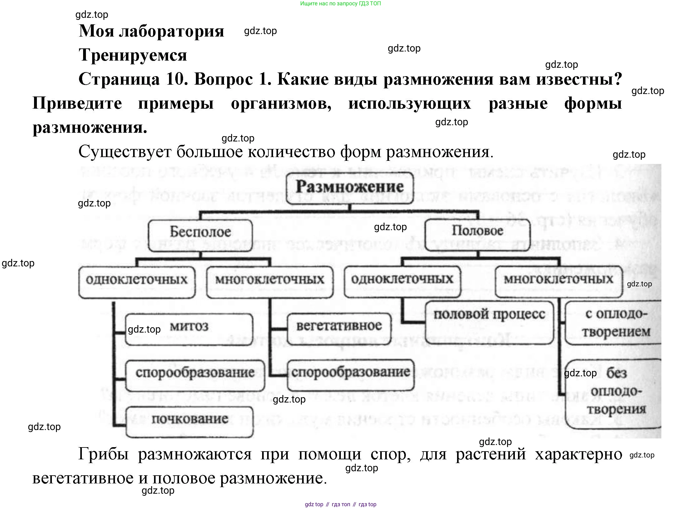 Биология, 11 класс Учебник, авторы: Пасечник Владимир Васильевич, Каменский Андрей Александрович, Рубцов Александр Михайлович, Швецов Глеб Геннадьевич, Гапонюк Зоя Георгиевна, издательство Просвещение, Москва, 2018, страница 10, номер 1, Решение