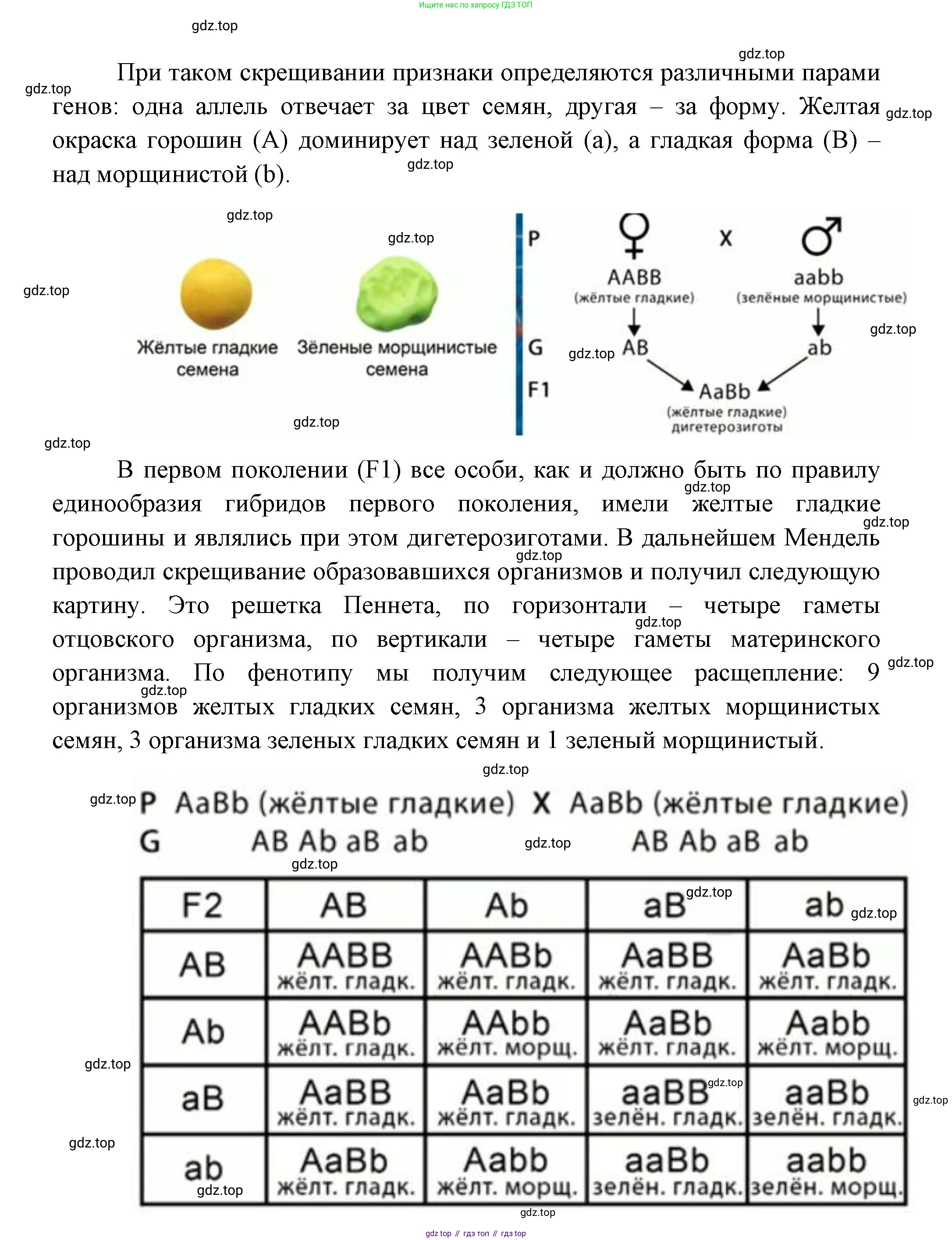 ГДЗ Биология, 11 класс Учебник, авторы: Пасечник Владимир Васильевич, Каменский Андрей Александрович, Рубцов Александр Михайлович, Швецов Глеб Геннадьевич, Гапонюк Зоя Георгиевна, издательство Просвещение, Москва, 2018, страница 46, номер 1, Решение (продолжение 2)