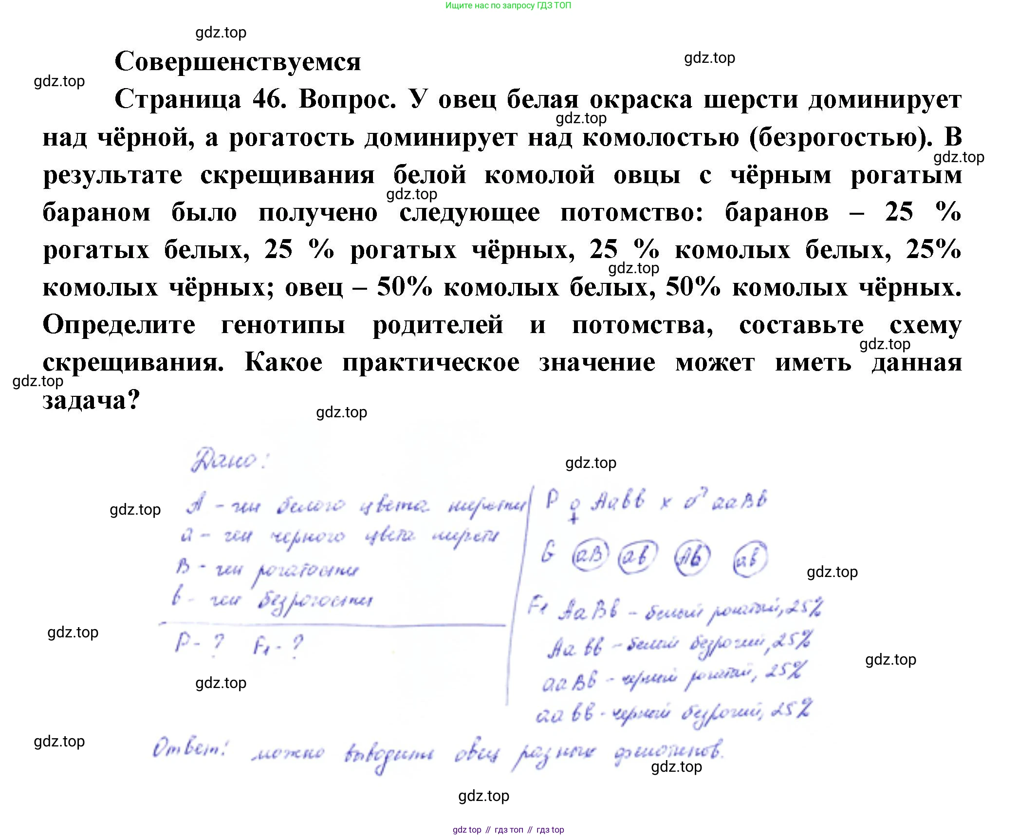 Биология, 11 класс Учебник, авторы: Пасечник Владимир Васильевич, Каменский Андрей Александрович, Рубцов Александр Михайлович, Швецов Глеб Геннадьевич, Гапонюк Зоя Георгиевна, издательство Просвещение, Москва, 2018, страница 46, Решение