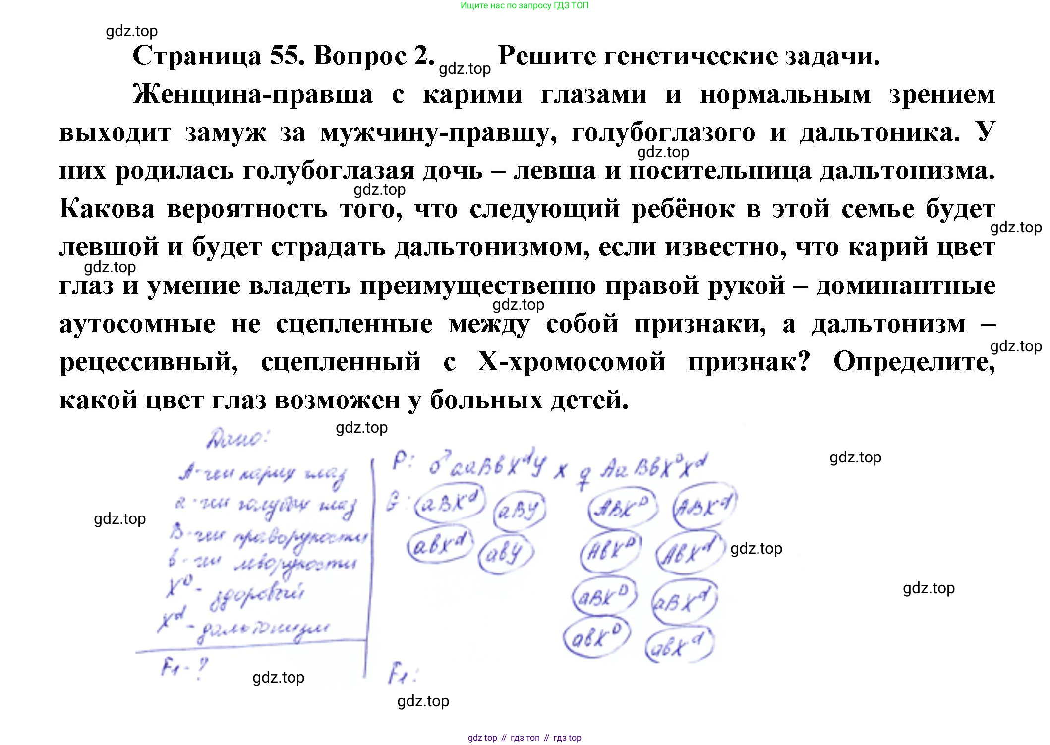 Биология, 11 класс Учебник, авторы: Пасечник Владимир Васильевич, Каменский Андрей Александрович, Рубцов Александр Михайлович, Швецов Глеб Геннадьевич, Гапонюк Зоя Георгиевна, издательство Просвещение, Москва, 2018, страница 55, номер 2, Решение