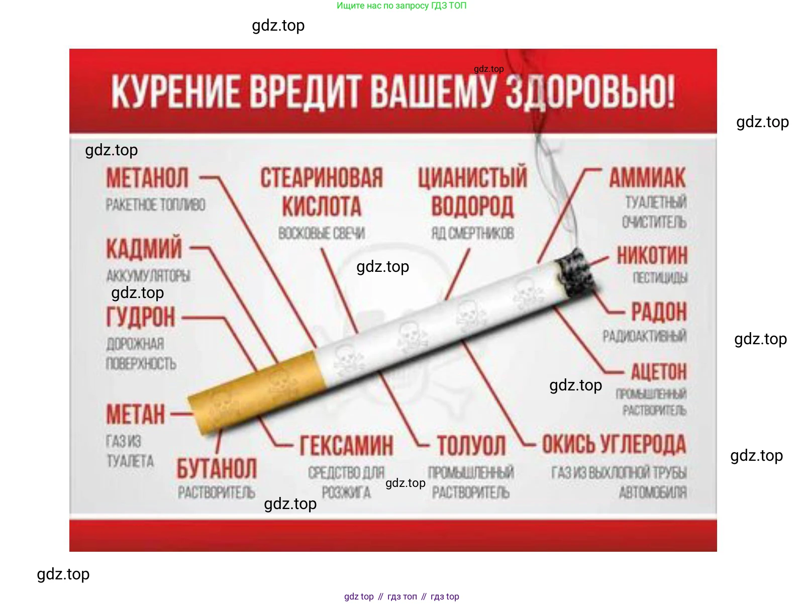 Биология, 11 класс Учебник, авторы: Пасечник Владимир Васильевич, Каменский Андрей Александрович, Рубцов Александр Михайлович, Швецов Глеб Геннадьевич, Гапонюк Зоя Георгиевна, издательство Просвещение, Москва, 2018, страница 62, Решение (продолжение 2)