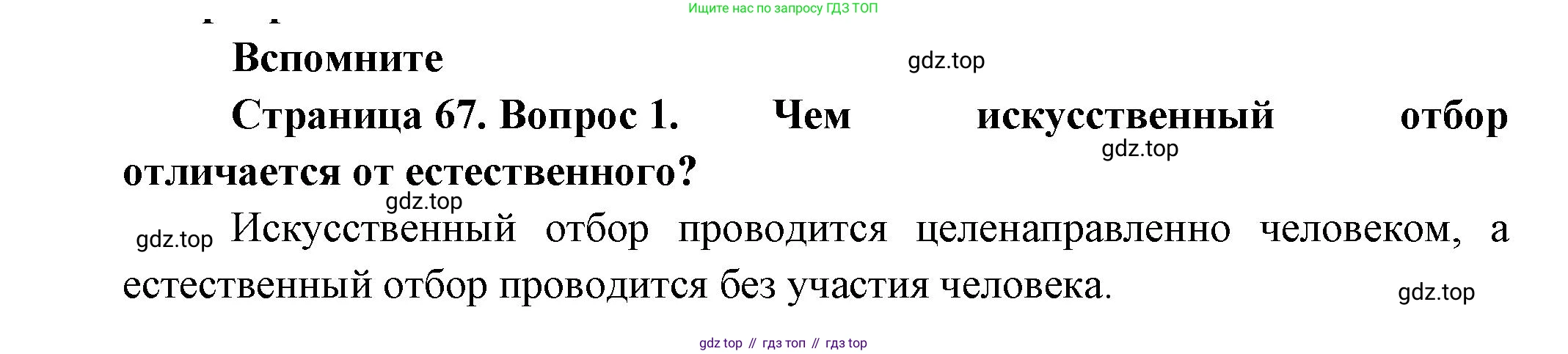 Биология, 11 класс Учебник, авторы: Пасечник Владимир Васильевич, Каменский Андрей Александрович, Рубцов Александр Михайлович, Швецов Глеб Геннадьевич, Гапонюк Зоя Георгиевна, издательство Просвещение, Москва, 2018, страница 67, номер 1, Решение
