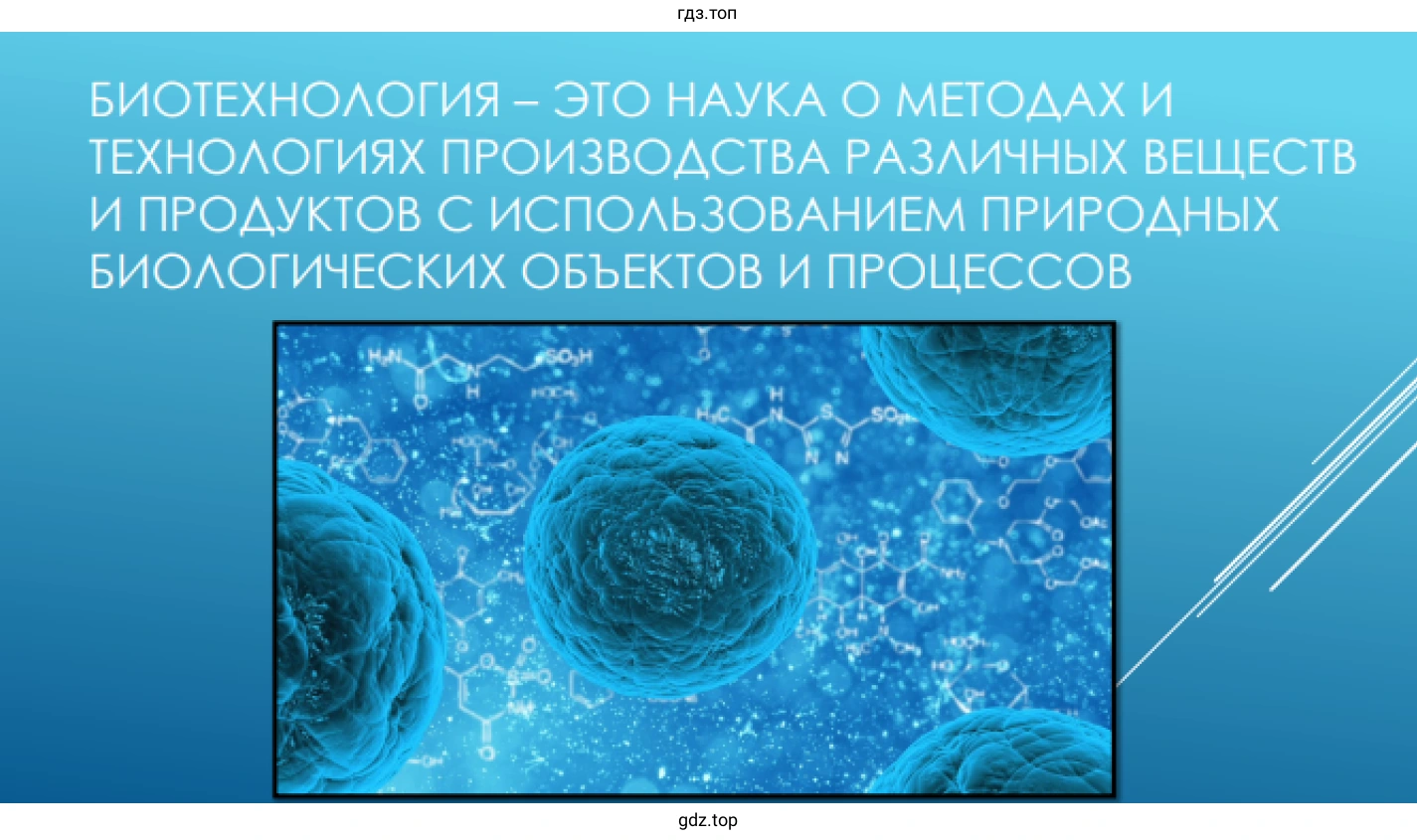 Биотехнология