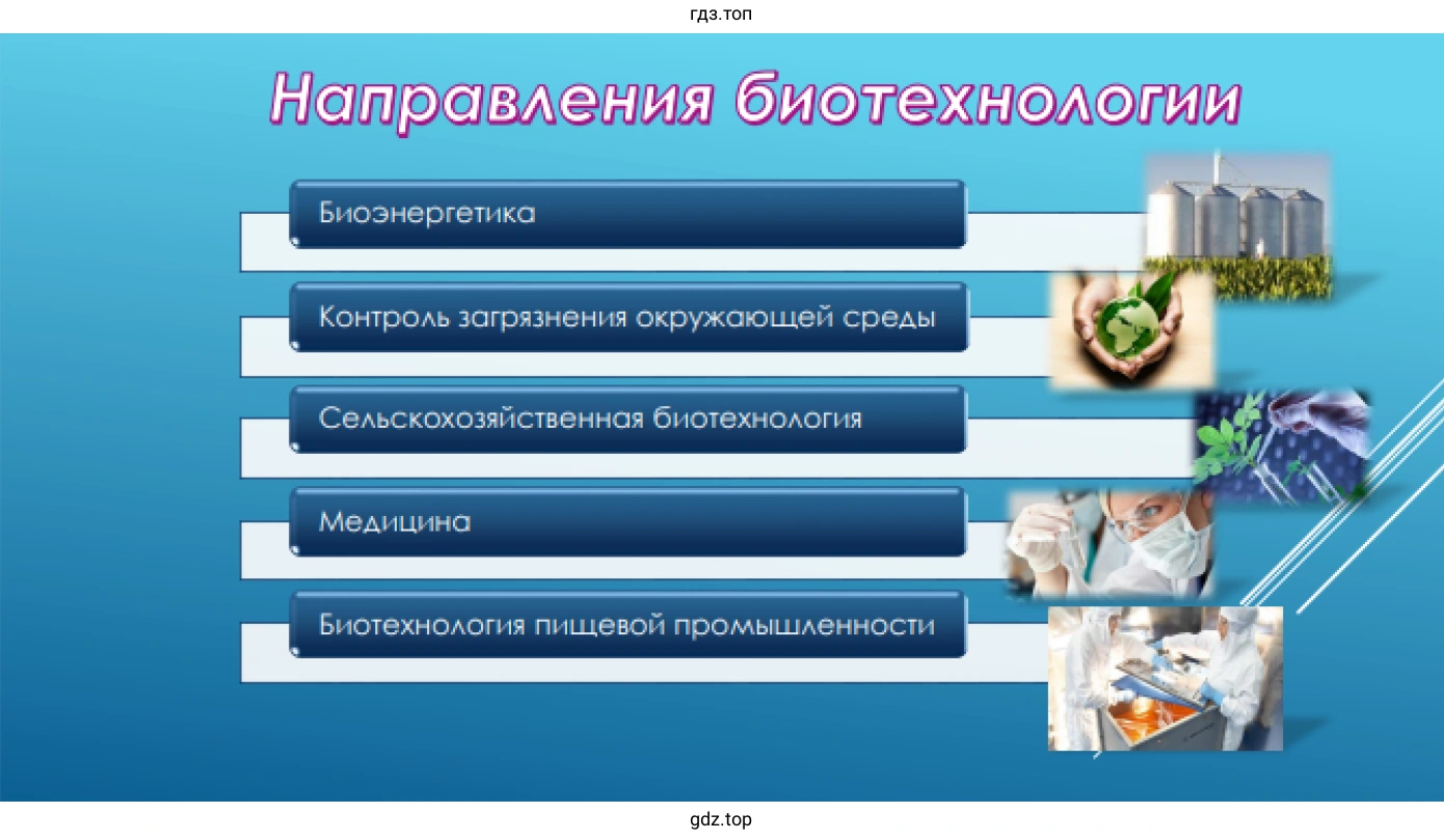 Направления биотехнологии 1