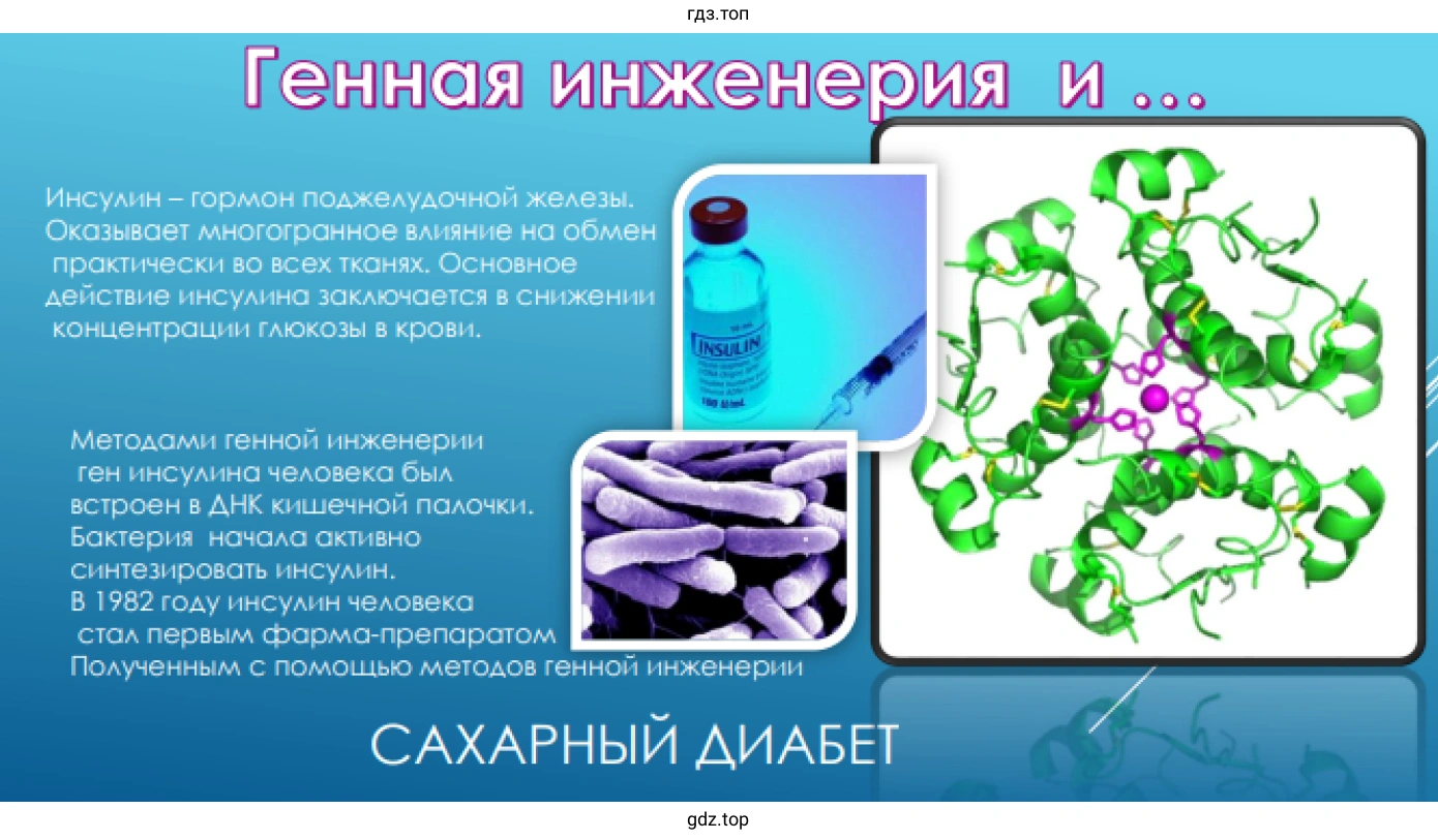 Генная инженерия и сахарный диабет