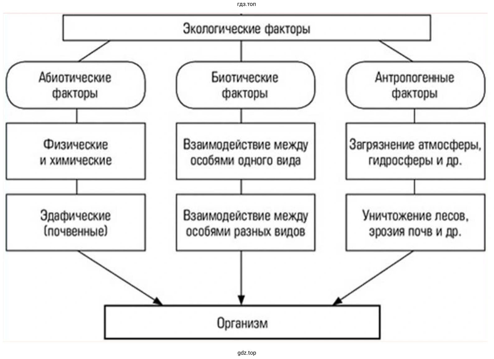 Рисунок. Схема. Экологические факторы.
