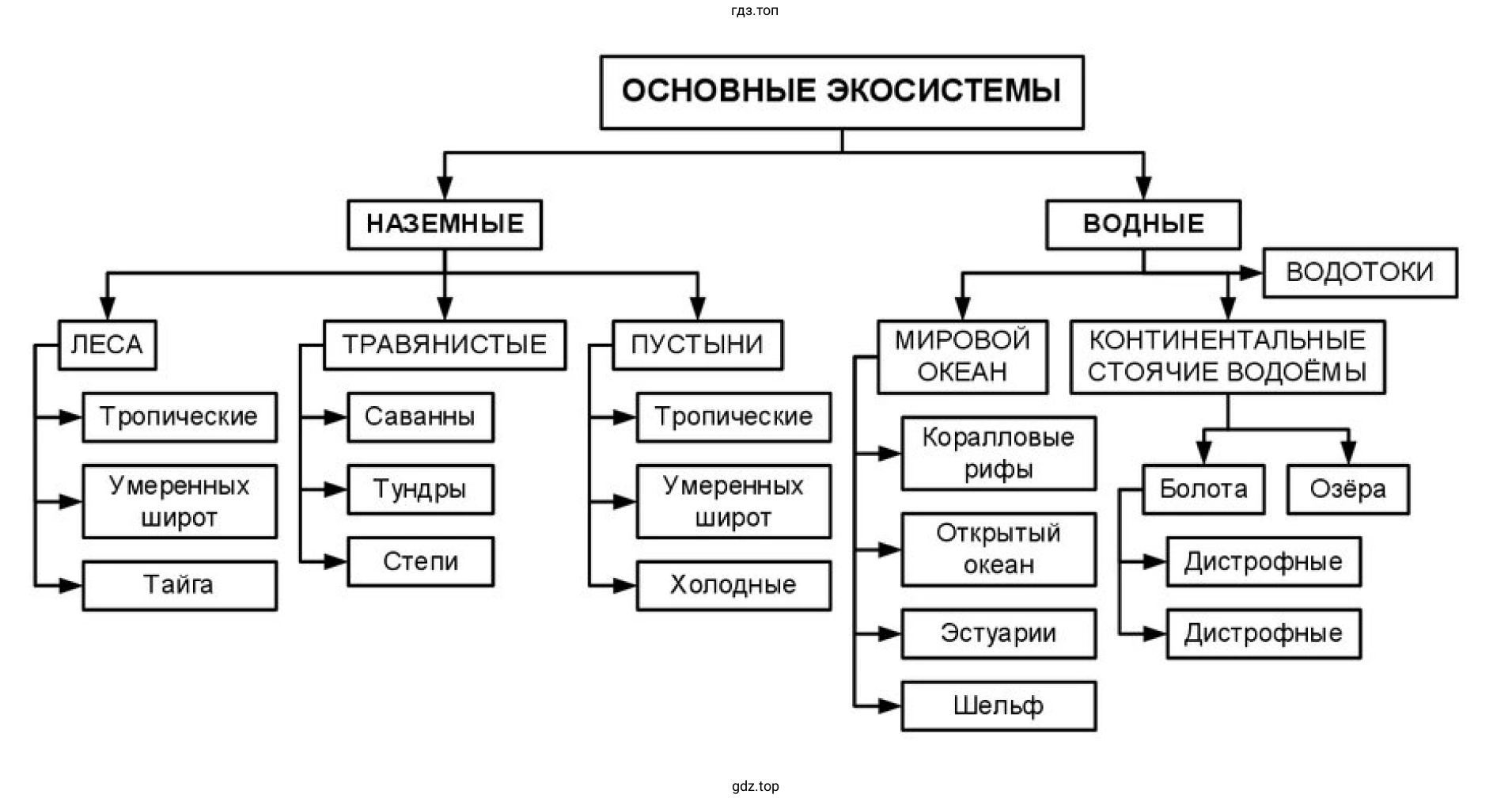 Рисунок. Схеиа. Классификация экосистем.