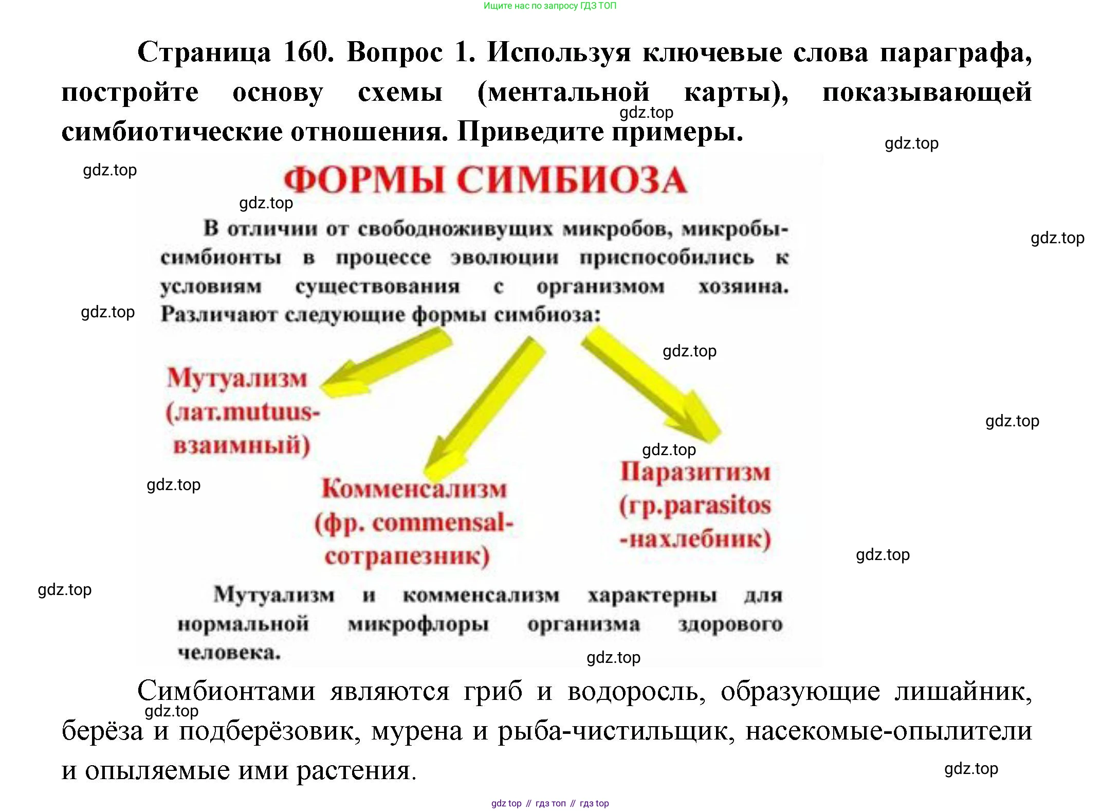 Биология, 11 класс Учебник, авторы: Пасечник Владимир Васильевич, Каменский Андрей Александрович, Рубцов Александр Михайлович, Швецов Глеб Геннадьевич, Гапонюк Зоя Георгиевна, издательство Просвещение, Москва, 2018, страница 160, номер 1, Решение