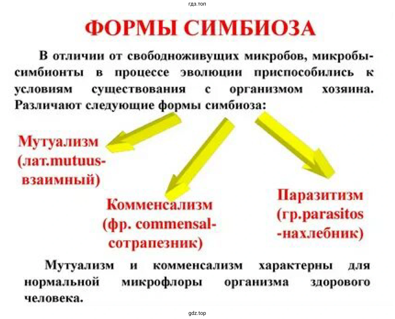 Рисунок. Формы симбиоза