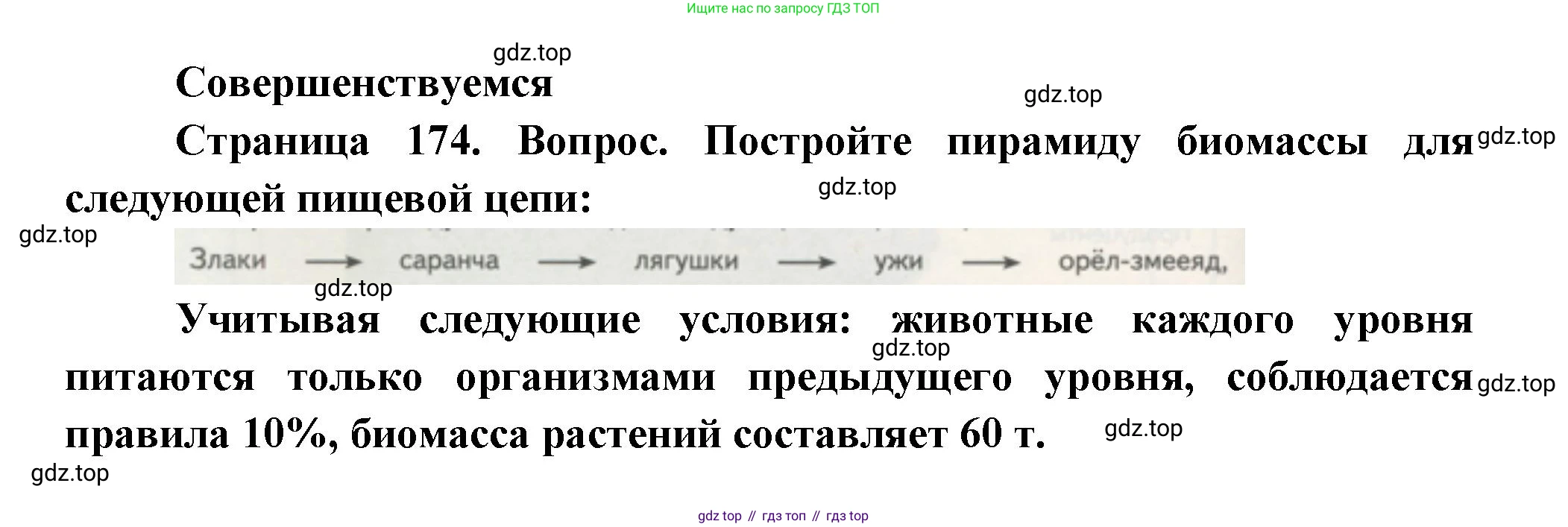 Биология, 11 класс Учебник, авторы: Пасечник Владимир Васильевич, Каменский Андрей Александрович, Рубцов Александр Михайлович, Швецов Глеб Геннадьевич, Гапонюк Зоя Георгиевна, издательство Просвещение, Москва, 2018, страница 174, Решение