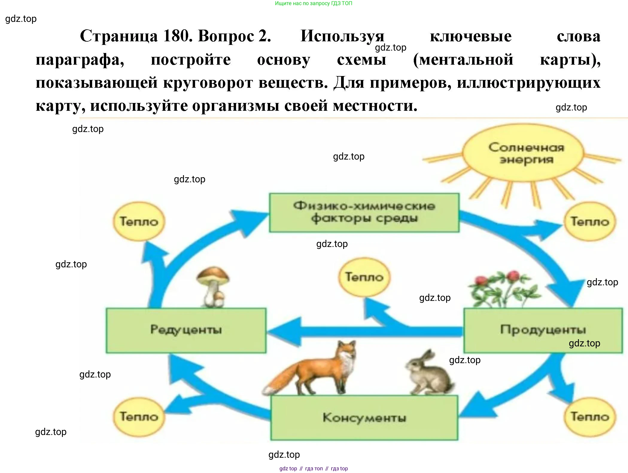 Биология, 11 класс Учебник, авторы: Пасечник Владимир Васильевич, Каменский Андрей Александрович, Рубцов Александр Михайлович, Швецов Глеб Геннадьевич, Гапонюк Зоя Георгиевна, издательство Просвещение, Москва, 2018, страница 180, номер 2, Решение