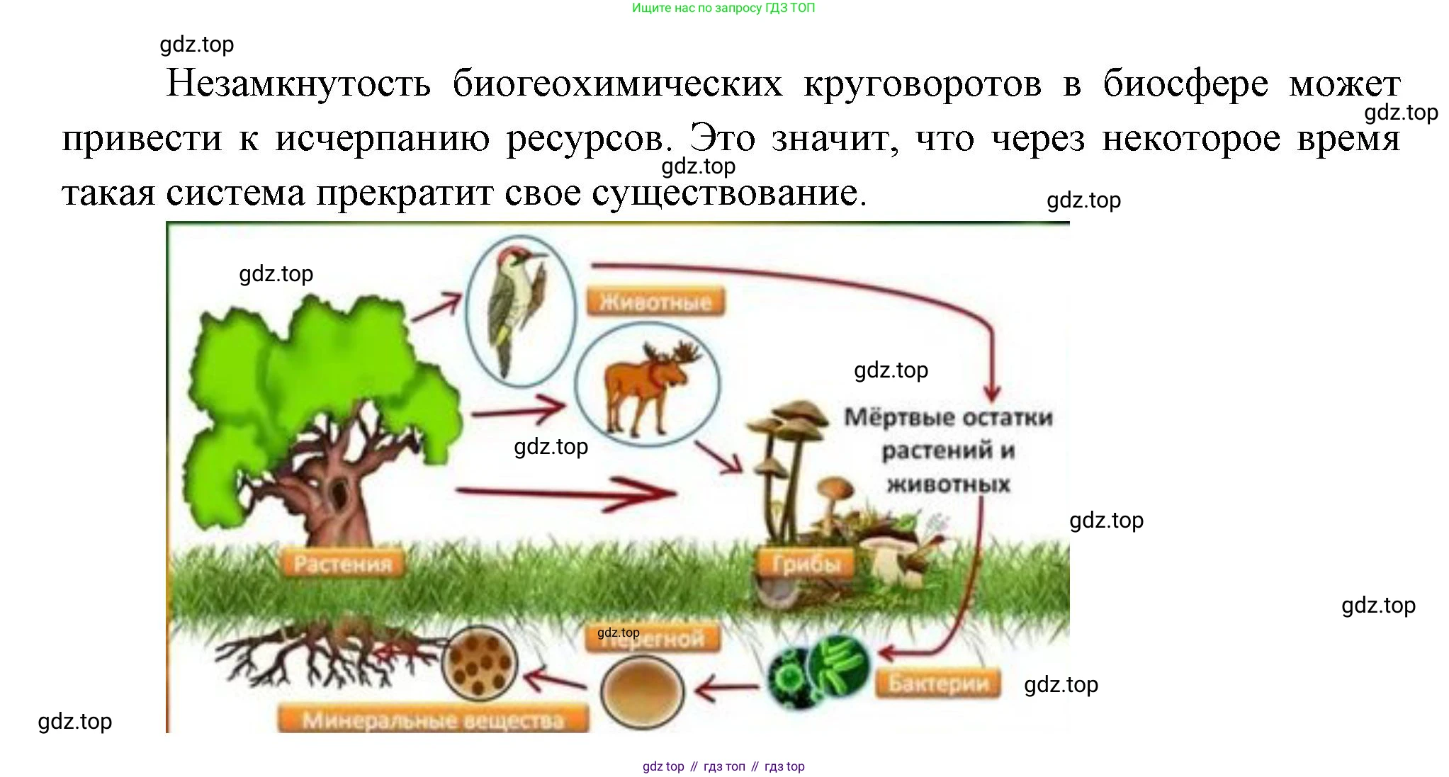 ГДЗ Биология, 11 класс Учебник, авторы: Пасечник Владимир Васильевич, Каменский Андрей Александрович, Рубцов Александр Михайлович, Швецов Глеб Геннадьевич, Гапонюк Зоя Георгиевна, издательство Просвещение, Москва, 2018, страница 202, номер 1, Решение (продолжение 2)