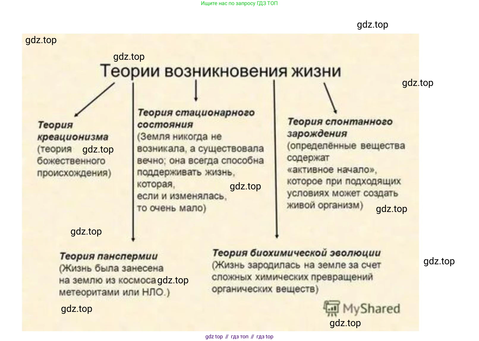 Биология, 11 класс Учебник, авторы: Пасечник Владимир Васильевич, Каменский Андрей Александрович, Рубцов Александр Михайлович, Швецов Глеб Геннадьевич, Гапонюк Зоя Георгиевна, издательство Просвещение, Москва, 2018, страница 219, Решение (продолжение 2)