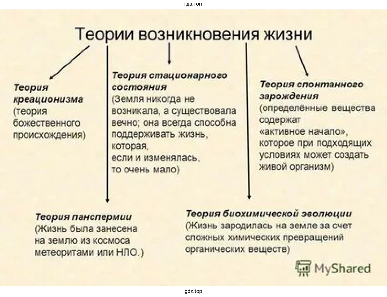 Рисунок. Теория возникновения жизни