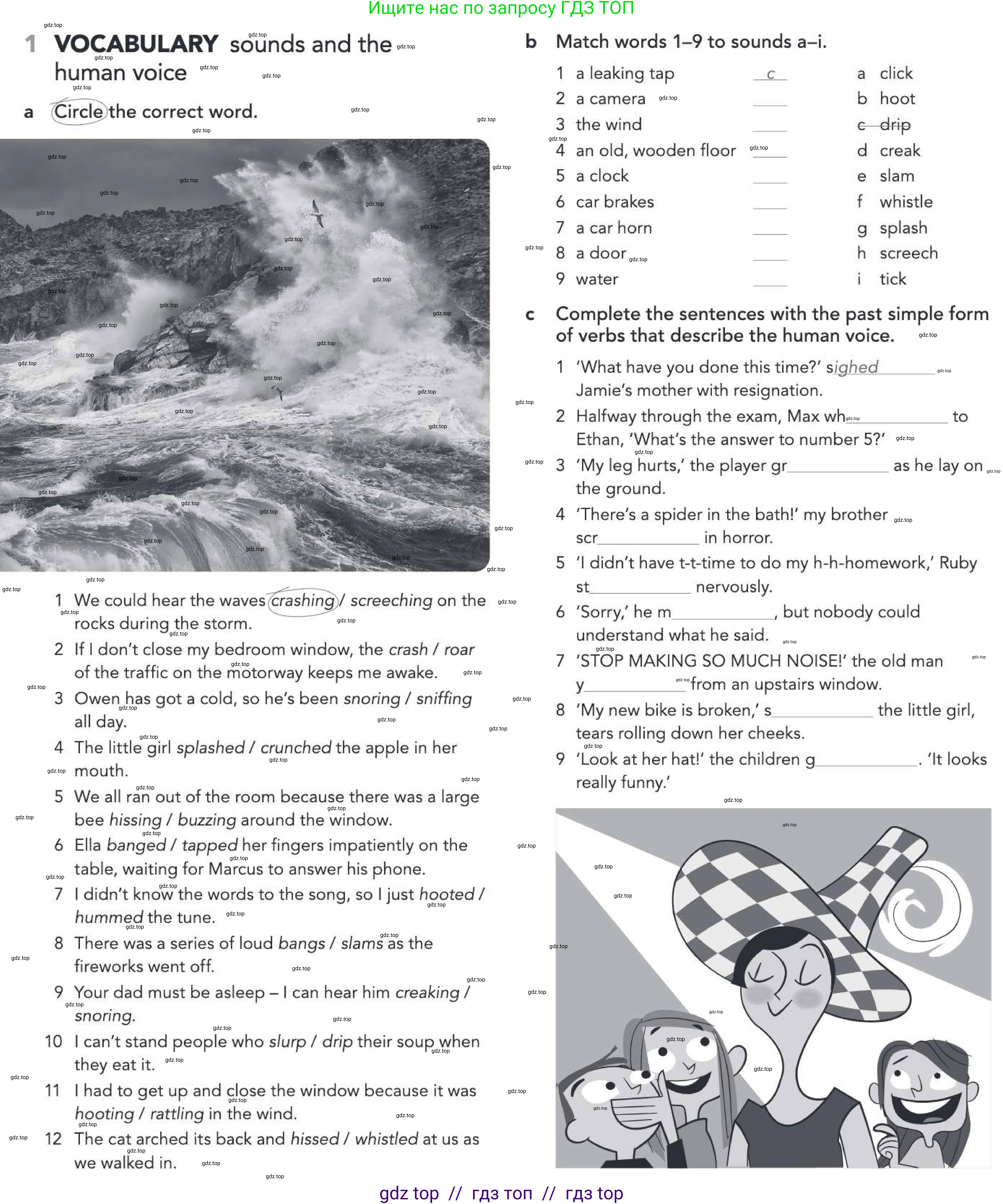 Английский язык (english), 5-11 класс Рабочая тетрадь (workbook), авторы: Latham-Koenig Christina, Oxenden Clive, Lambert Jerry, Chomacki Kate, Hudson Jane, издательство Oxford University Press, Москва, 2019, бирюзового цвета, страница 29, номер 1, Условие