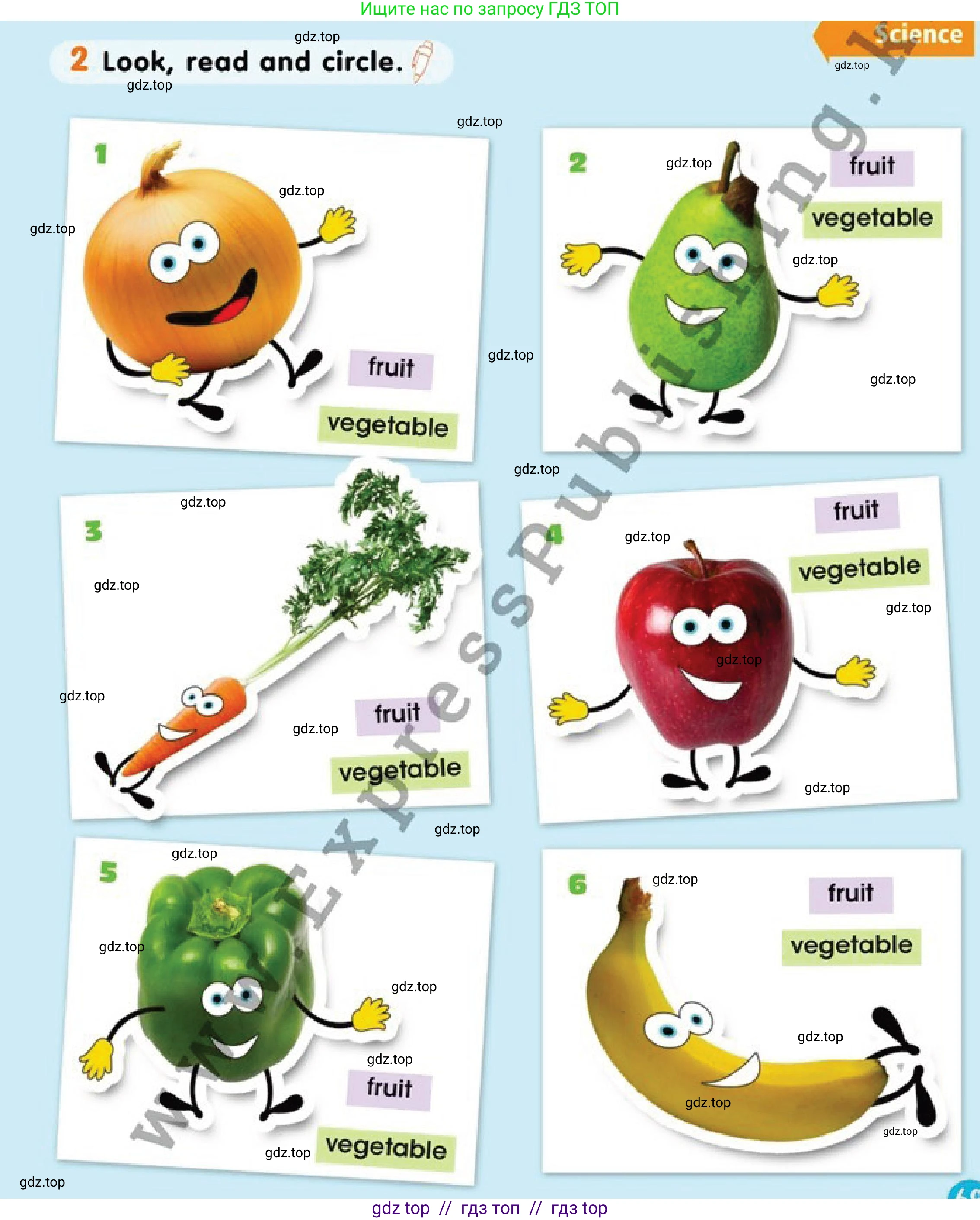 Английский язык (english), 1 класс Учебник (Pupil's book), авторы: Дули Дженни (Dooley Jenny), Эванс Вирджиния (Evans Virginia), Оби Боб (Obee Bob), издательство Express Publishing, Алматы, 2016, голубого цвета, страница 69, номер 2, Условие