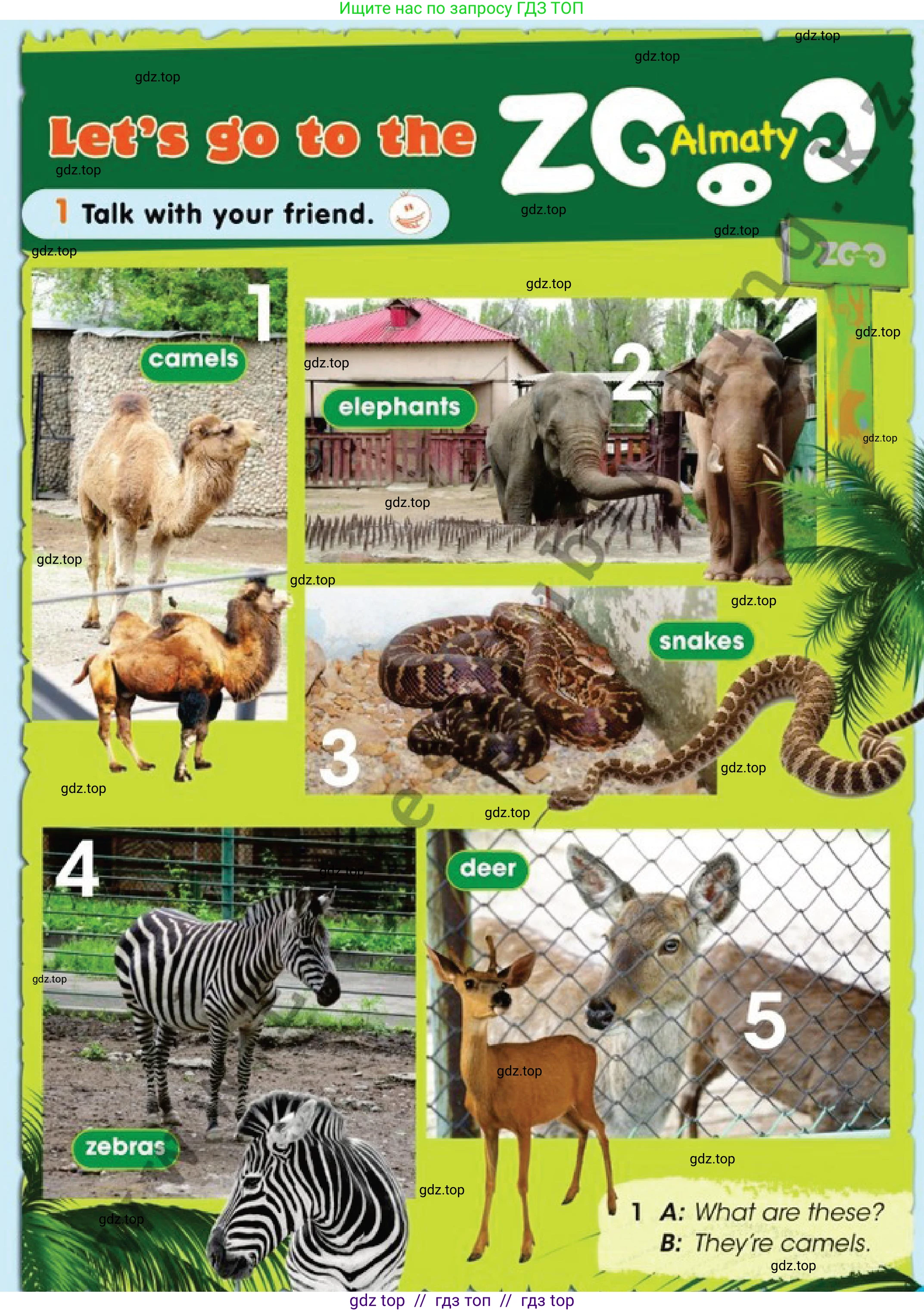 Английский язык (english), 1 класс Учебник (Pupil's book), авторы: Дули Дженни (Dooley Jenny), Эванс Вирджиния (Evans Virginia), Оби Боб (Obee Bob), издательство Express Publishing, Алматы, 2016, голубого цвета, страница 93, номер 1, Условие