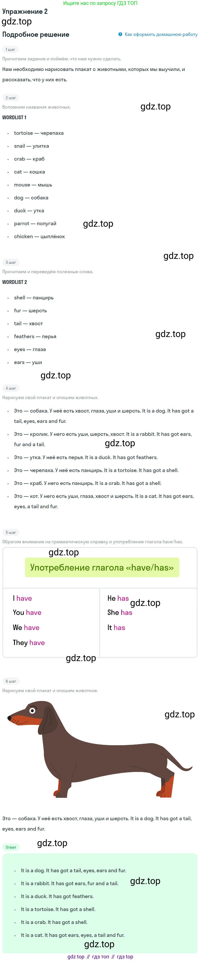 Английский язык (english), 1 класс Учебник (Student's book), авторы: Быкова Надежда Ильинична (Bykova Nadezhda), Дули Дженни (Dooley Jenny), Поспелова Марина Давидовна (Pospelova Marina), Эванс Вирджиния (Evans Virginia), издательство Просвещение, Москва, 2019, страница 65, номер 2, Решение