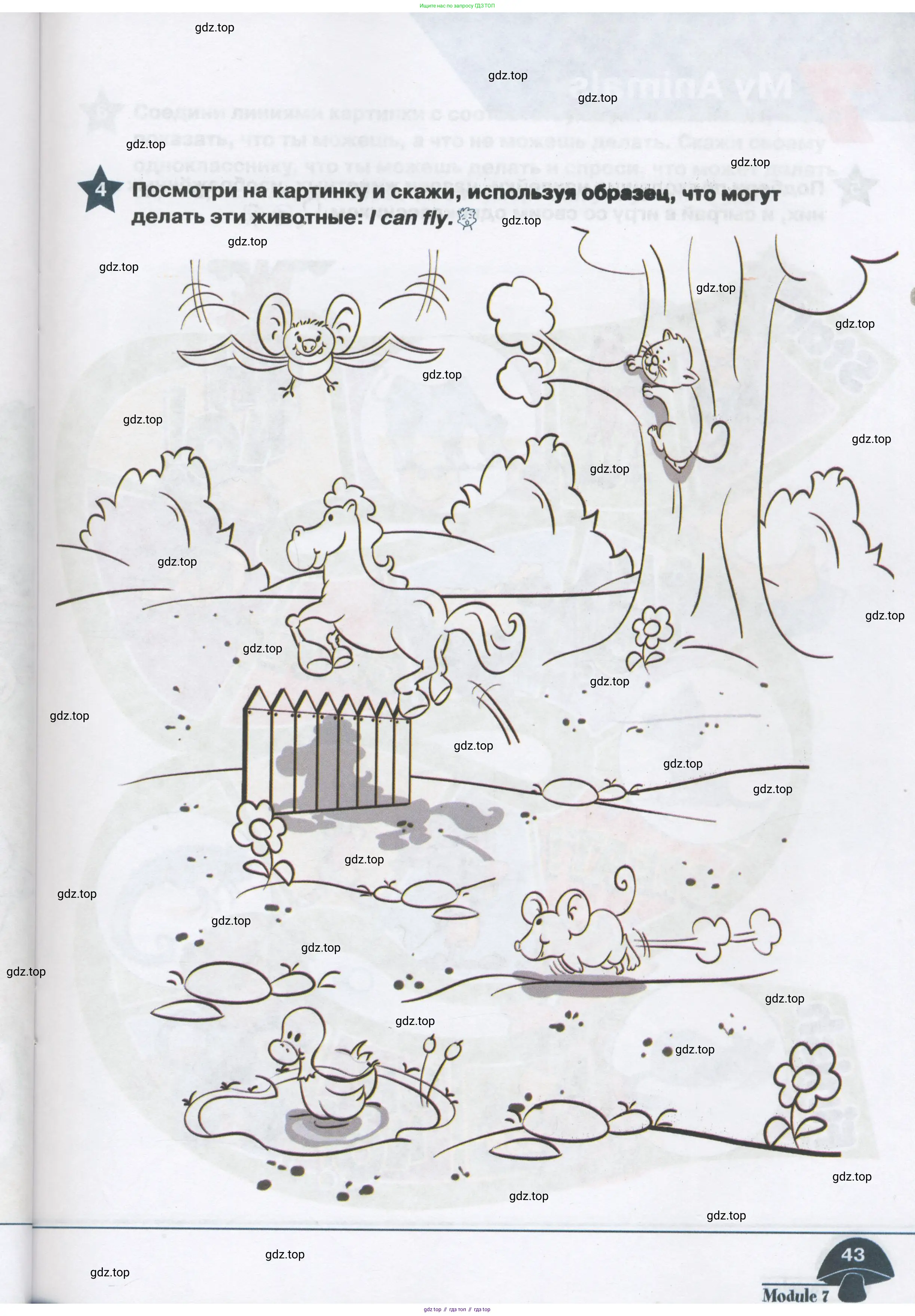 Английский язык (english), 1 класс Рабочая тетрадь (workbook), авторы: Баранова Ксения Михайловна (Baranova Ksenia), Дули Дженни (Dooley Jenny), Копылова Виктория Викторовна (Kopylova Victoria), Мильруд Радислав Петрович (Millrood Radislav), Эванс Вирджиния (Evans Virginia), издательство Просвещение, Москва, 2012, белого цвета, страница 43