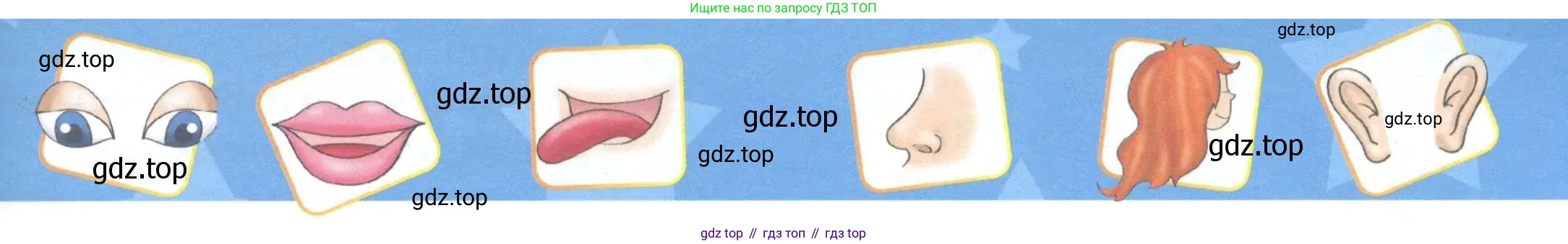 ГДЗ Английский язык (english), 1 класс Учебник (Student's book), авторы: Баранова Ксения Михайловна (Baranova Ksenia), Дули Дженни (Dooley Jenny), Копылова Виктория Викторовна (Kopylova Victoria), Мильруд Радислав Петрович (Millrood Radislav), Эванс Вирджиния (Evans Virginia), издательство Просвещение, Москва, 2019, белого цвета, страница 62, Условие (продолжение 2)