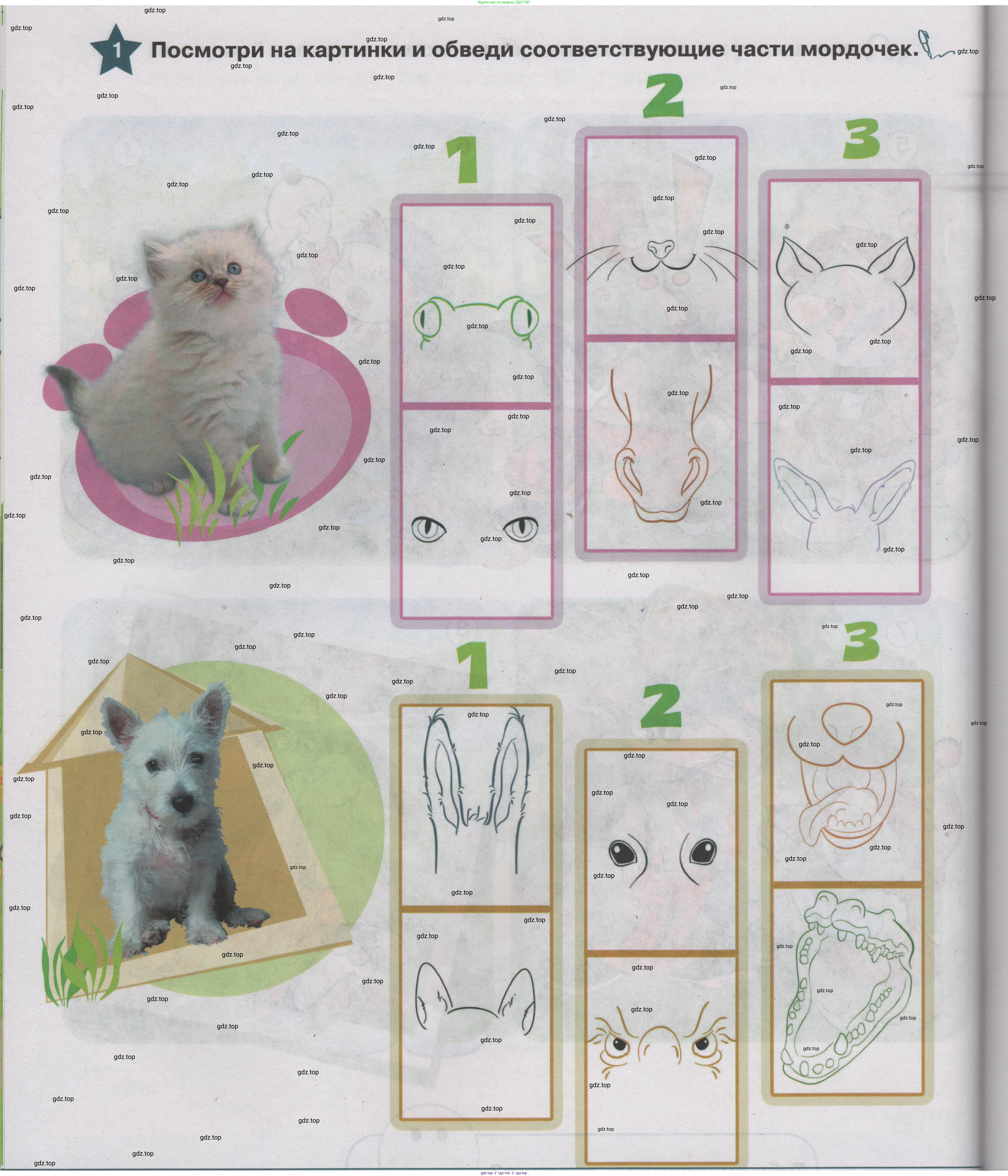 ГДЗ Английский язык (english), 1 класс Учебник (Student's book), авторы: Баранова Ксения Михайловна (Baranova Ksenia), Дули Дженни (Dooley Jenny), Копылова Виктория Викторовна (Kopylova Victoria), Мильруд Радислав Петрович (Millrood Radislav), Эванс Вирджиния (Evans Virginia), издательство Просвещение, Москва, 2019, белого цвета, страница 68, номер 1, Условие