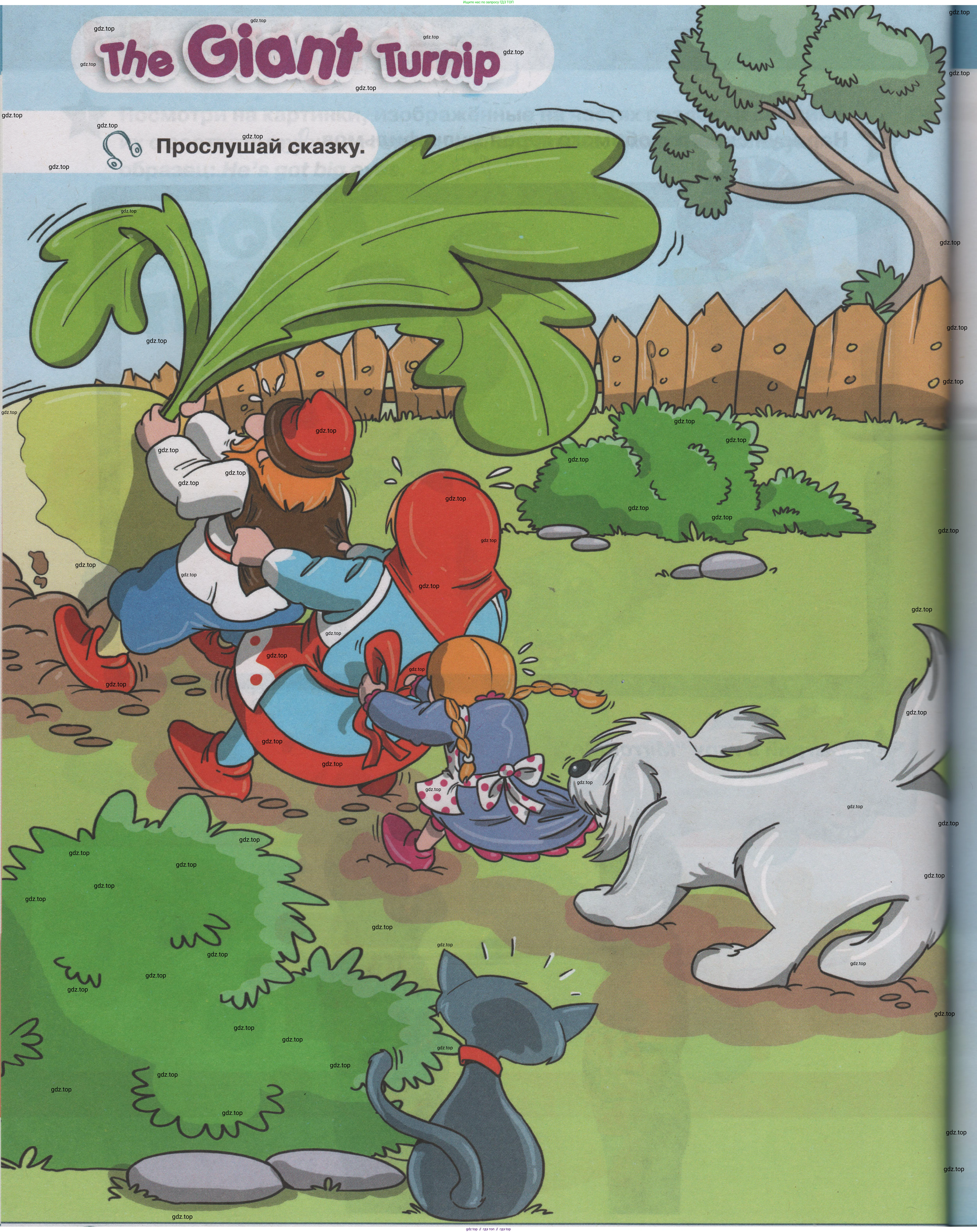 ГДЗ Английский язык (english), 1 класс Учебник (Student's book), авторы: Баранова Ксения Михайловна (Baranova Ksenia), Дули Дженни (Dooley Jenny), Копылова Виктория Викторовна (Kopylova Victoria), Мильруд Радислав Петрович (Millrood Radislav), Эванс Вирджиния (Evans Virginia), издательство Просвещение, Москва, 2019, белого цвета, страница 74, Условие