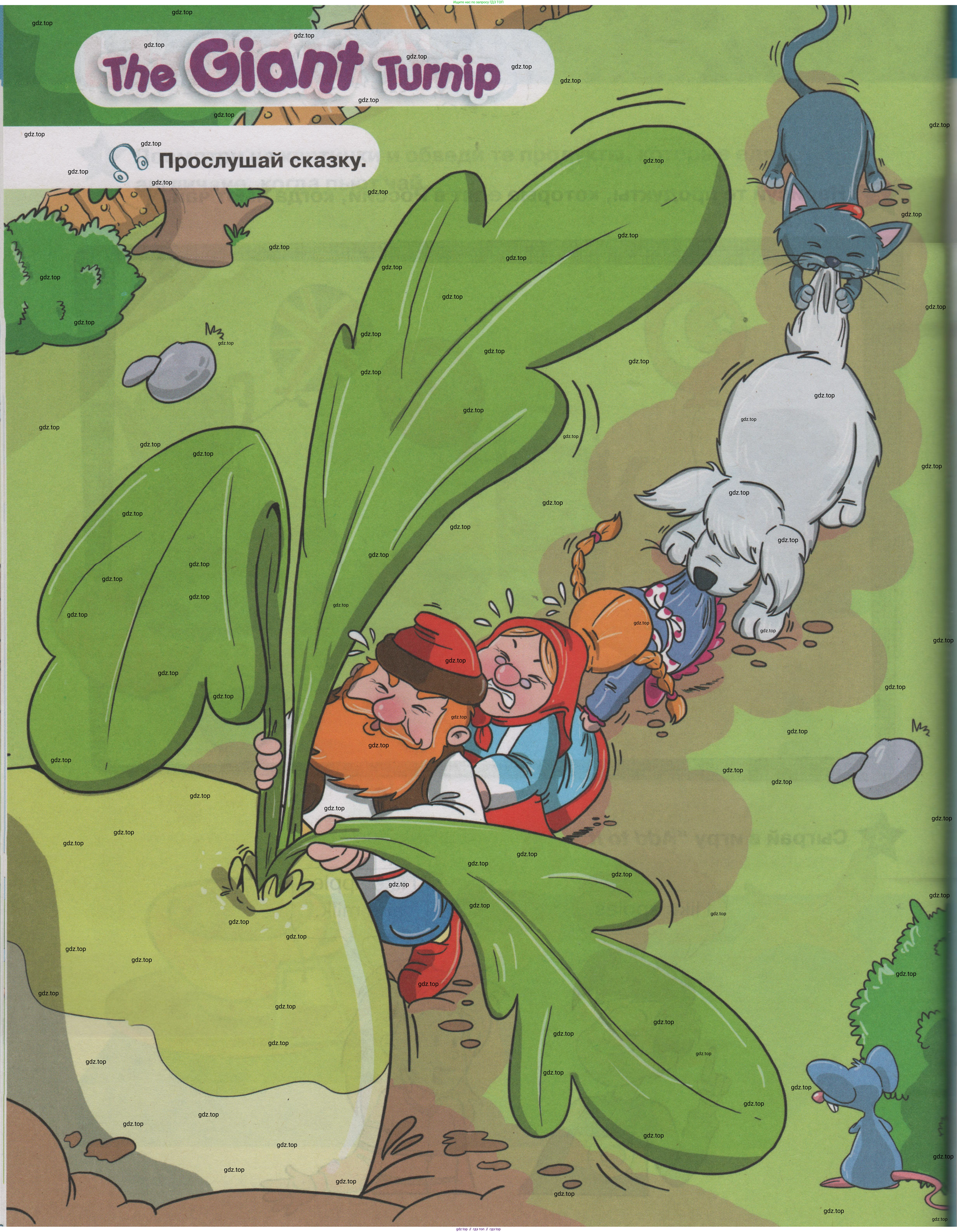 ГДЗ Английский язык (english), 1 класс Учебник (Student's book), авторы: Баранова Ксения Михайловна (Baranova Ksenia), Дули Дженни (Dooley Jenny), Копылова Виктория Викторовна (Kopylova Victoria), Мильруд Радислав Петрович (Millrood Radislav), Эванс Вирджиния (Evans Virginia), издательство Просвещение, Москва, 2019, белого цвета, страница 88, Условие