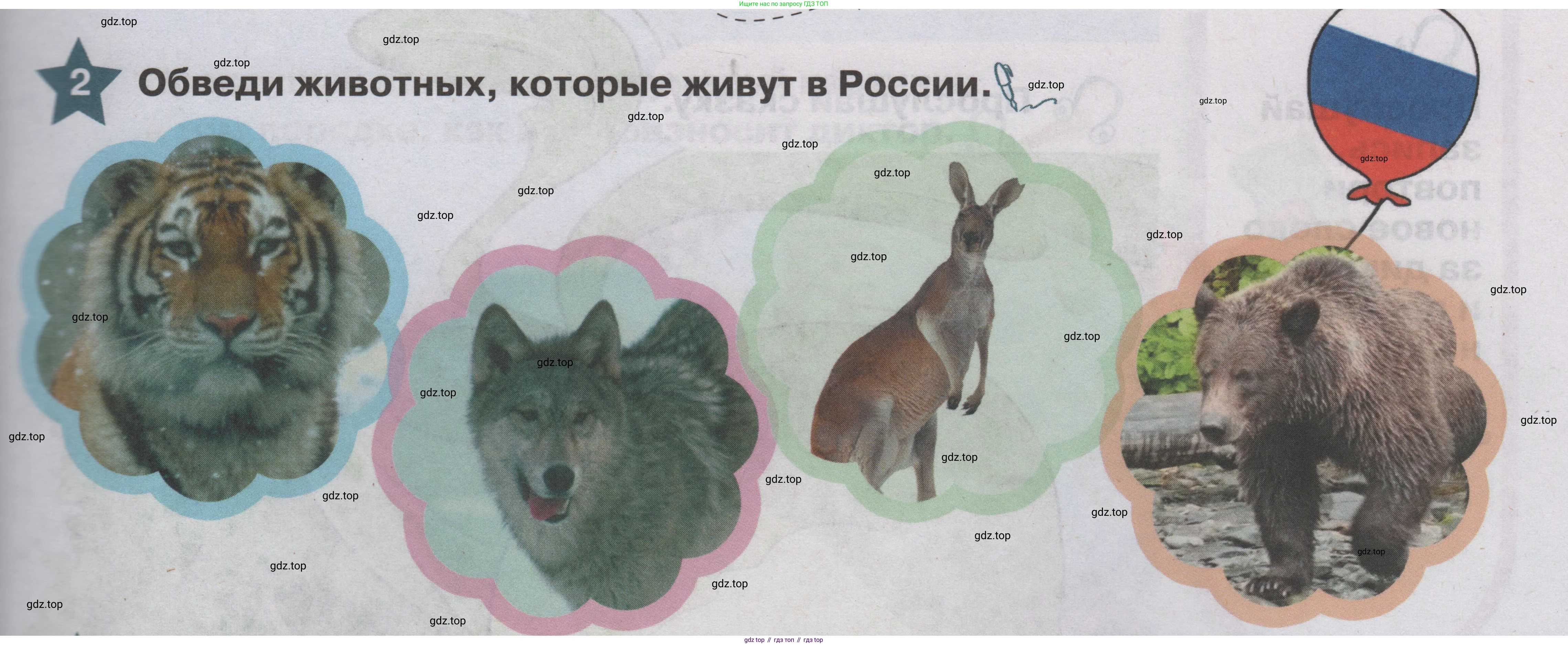 ГДЗ Английский язык (english), 1 класс Учебник (Student's book), авторы: Баранова Ксения Михайловна (Baranova Ksenia), Дули Дженни (Dooley Jenny), Копылова Виктория Викторовна (Kopylova Victoria), Мильруд Радислав Петрович (Millrood Radislav), Эванс Вирджиния (Evans Virginia), издательство Просвещение, Москва, 2019, белого цвета, страница 101, номер 2, Условие