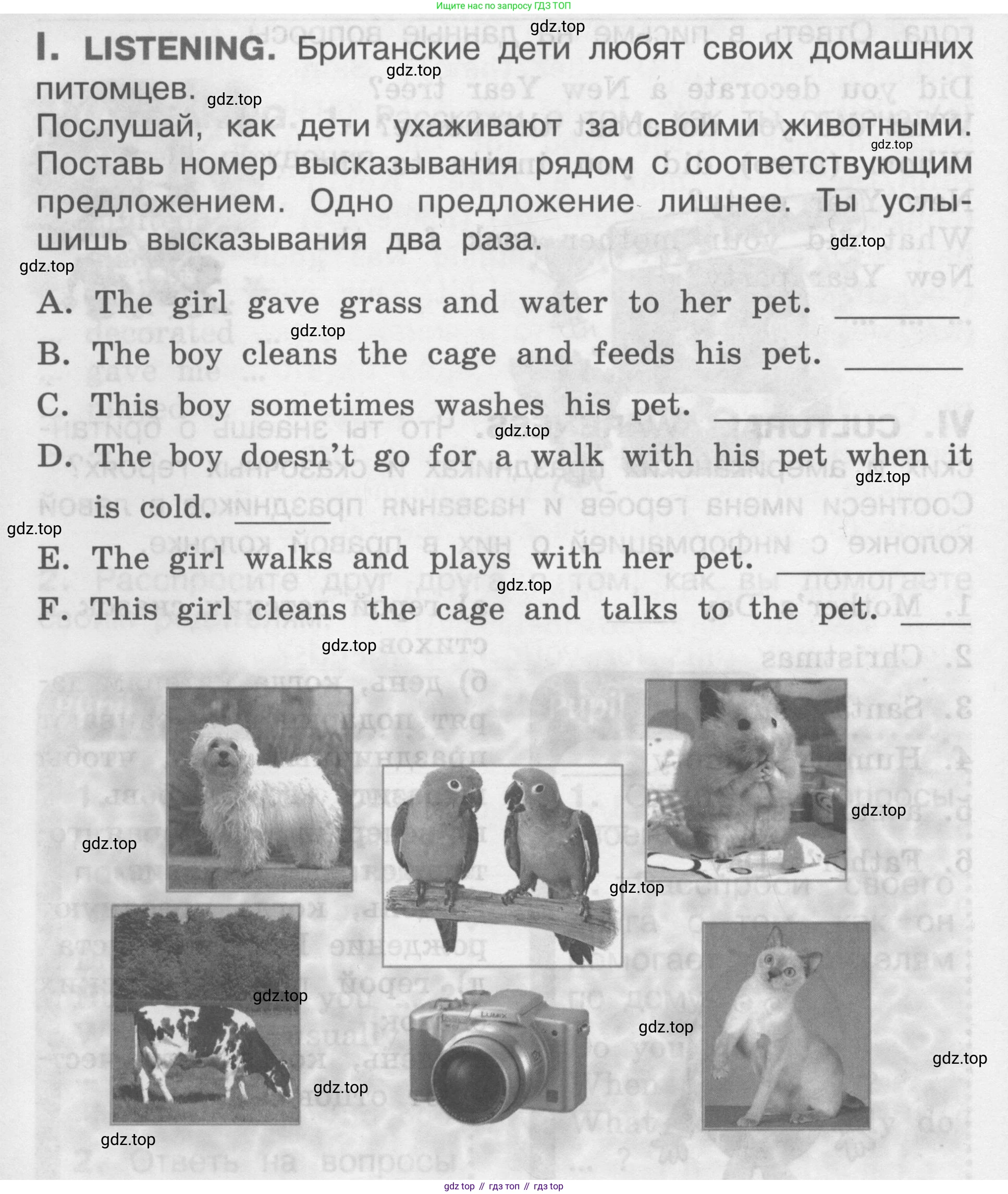 Английский язык (english), 2-4 класс контрольные задания (assessment tasks), автор: Кузовлев Владимир Петрович (Kuzovlev Vladimir), издательство Просвещение, Москва, 2016, зелёного цвета, страница 38, номер I, Условие