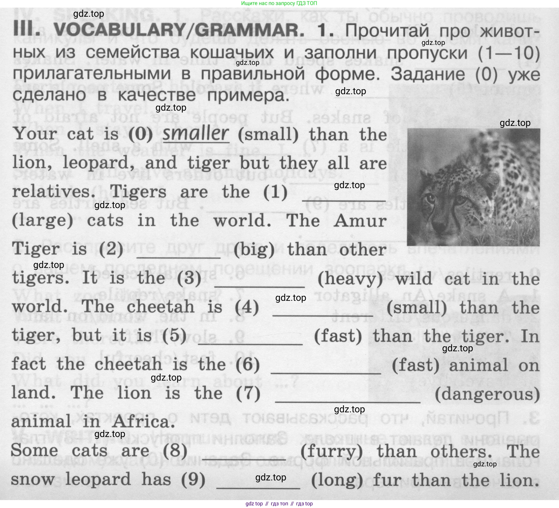 Английский язык (english), 2-4 класс контрольные задания (assessment tasks), автор: Кузовлев Владимир Петрович (Kuzovlev Vladimir), издательство Просвещение, Москва, 2016, зелёного цвета, страница 59, номер III, Условие