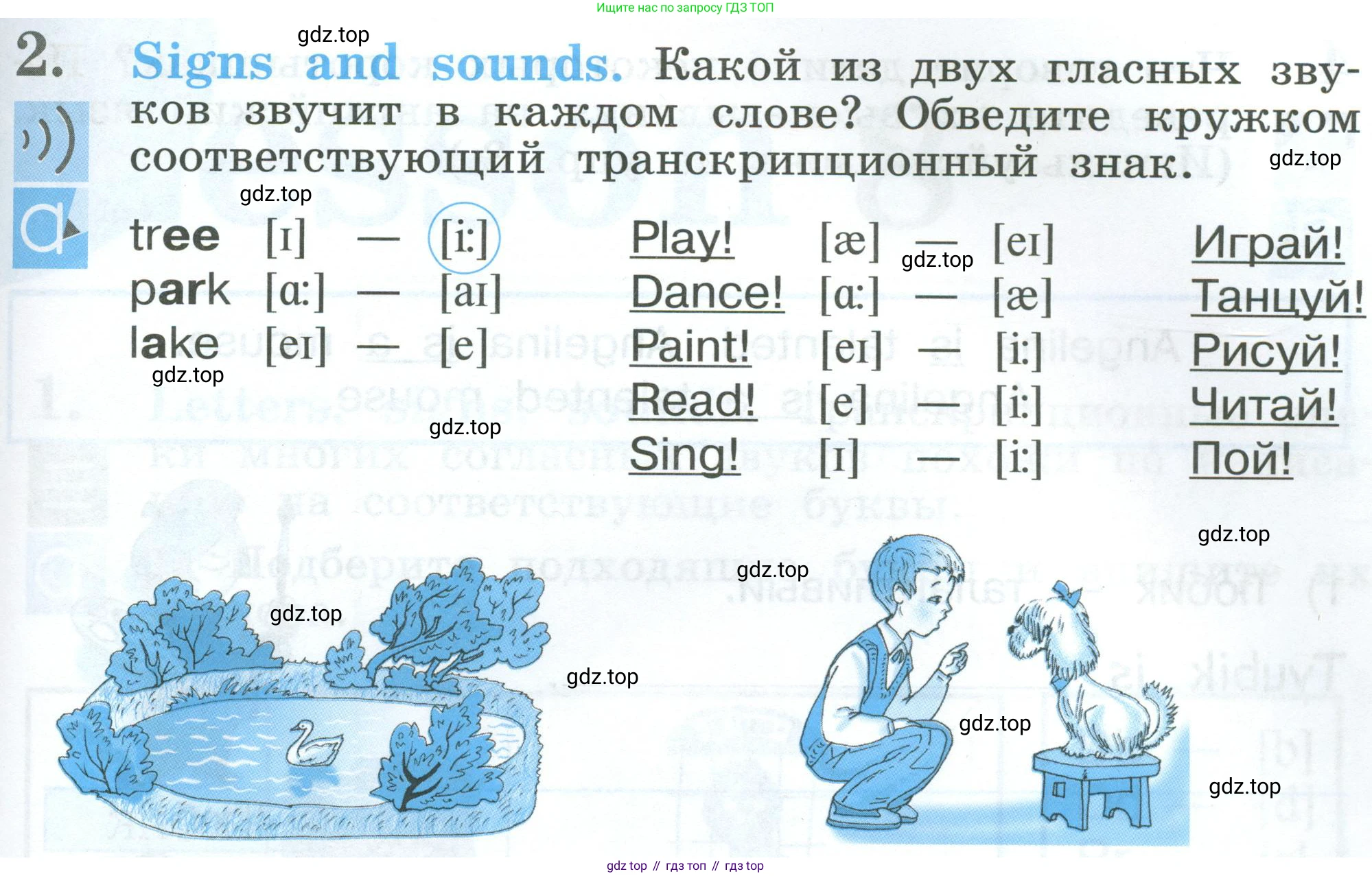 Английский язык (english), 2 класс рабочая тетрадь (activity book), авторы: Кузовлев Владимир Петрович (Kuzovlev Vladimir), Перегудова Эльвира Шакировна, Пастухова Светлана Анатольевна (Pastukhova Svetlana), Стрельникова Ольга Викторовна (Strelnikova Olga), издательство Просвещение, Москва, 2023, розового цвета, страница 13, номер 2, Условие