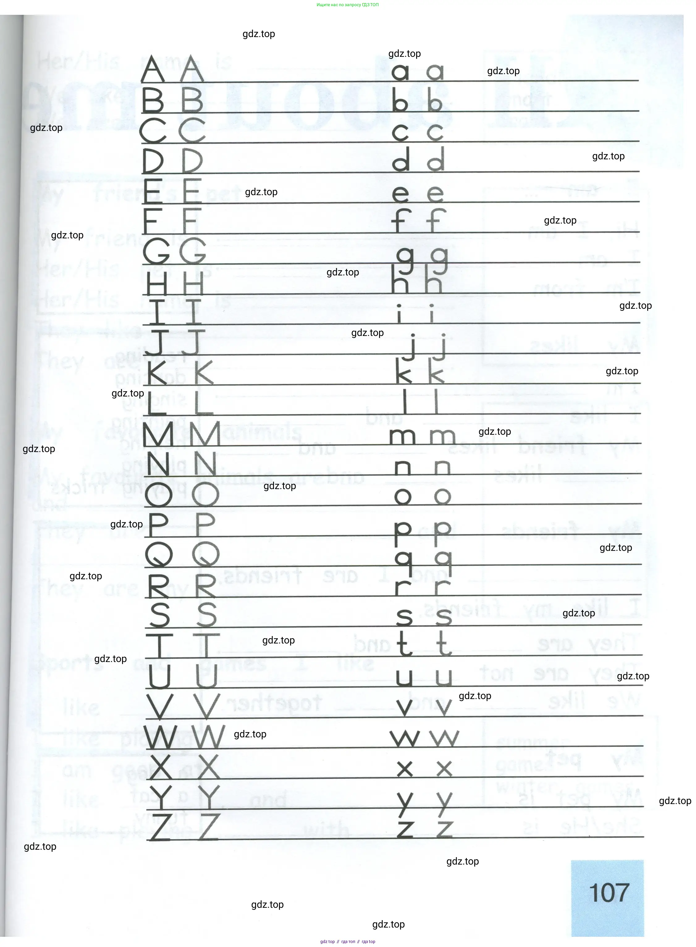 Английский язык (english), 2 класс рабочая тетрадь (activity book), авторы: Кузовлев Владимир Петрович (Kuzovlev Vladimir), Перегудова Эльвира Шакировна, Пастухова Светлана Анатольевна (Pastukhova Svetlana), Стрельникова Ольга Викторовна (Strelnikova Olga), издательство Просвещение, Москва, 2023, розового цвета, страница 107