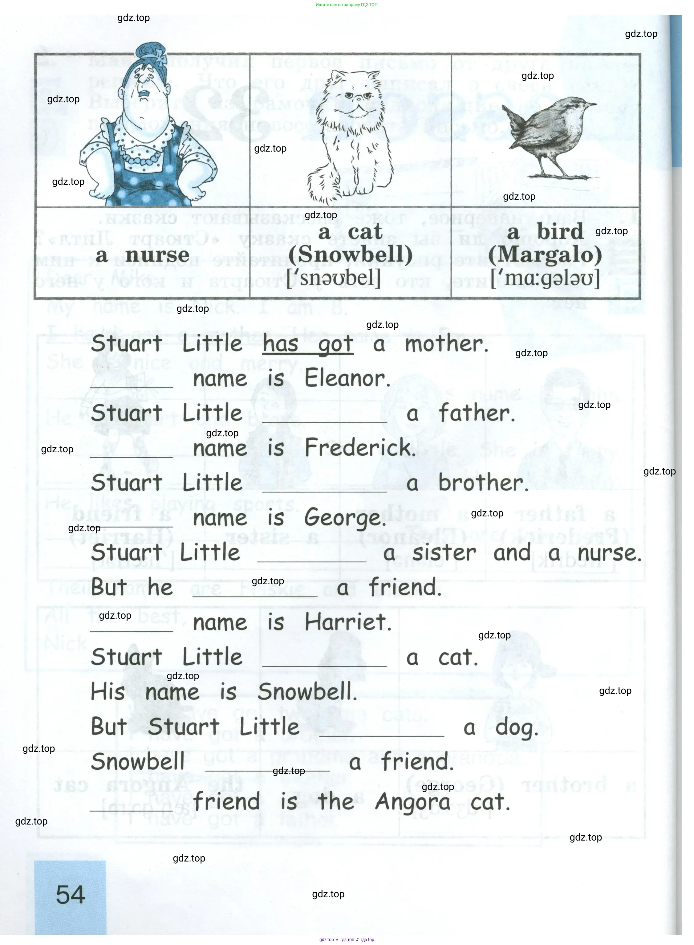 Английский язык (english), 2 класс рабочая тетрадь (activity book), авторы: Кузовлев Владимир Петрович (Kuzovlev Vladimir), Перегудова Эльвира Шакировна, Пастухова Светлана Анатольевна (Pastukhova Svetlana), Стрельникова Ольга Викторовна (Strelnikova Olga), издательство Просвещение, Москва, 2023, розового цвета, страница 54