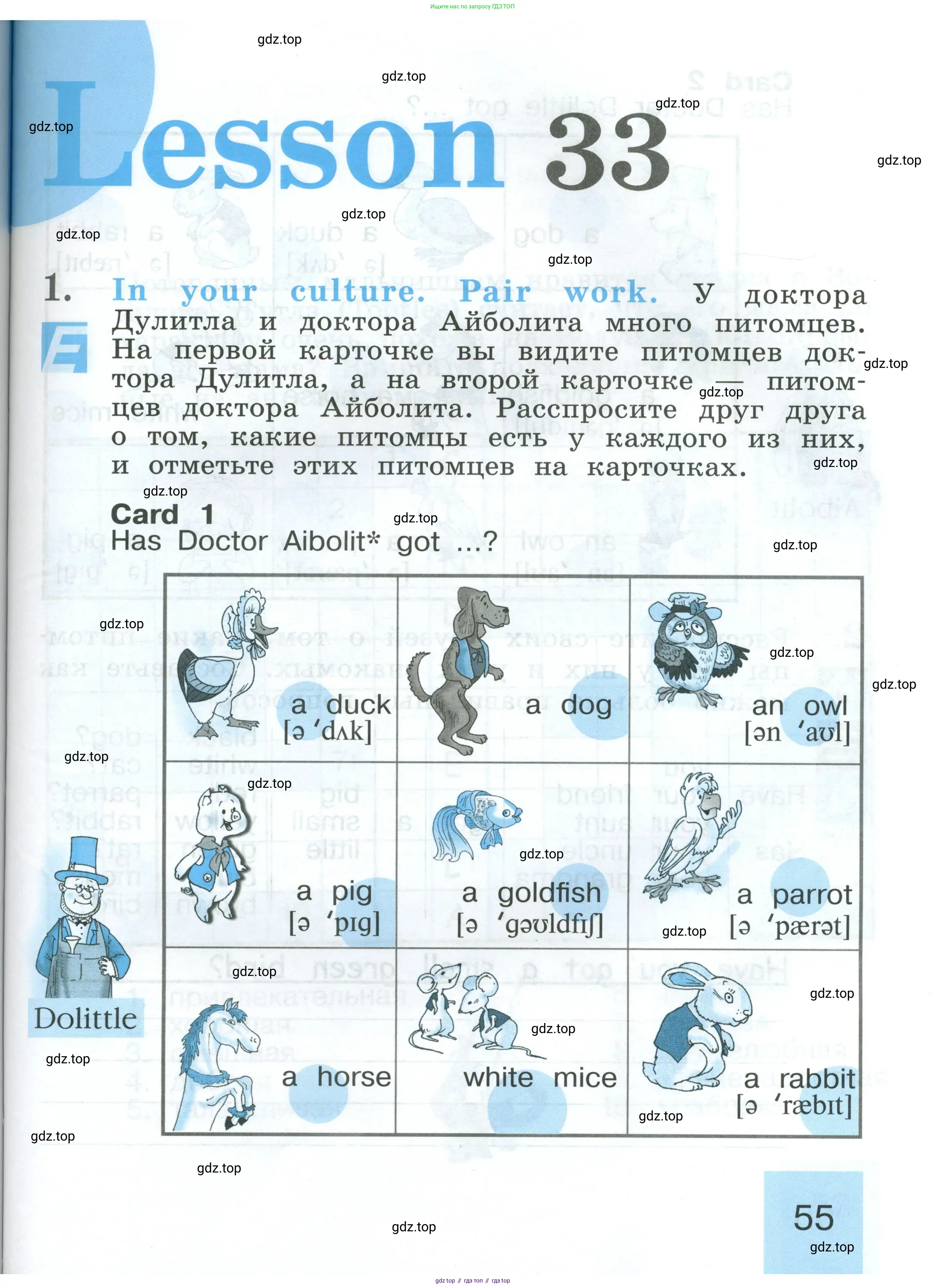 Английский язык (english), 2 класс рабочая тетрадь (activity book), авторы: Кузовлев Владимир Петрович (Kuzovlev Vladimir), Перегудова Эльвира Шакировна, Пастухова Светлана Анатольевна (Pastukhova Svetlana), Стрельникова Ольга Викторовна (Strelnikova Olga), издательство Просвещение, Москва, 2023, розового цвета, страница 55