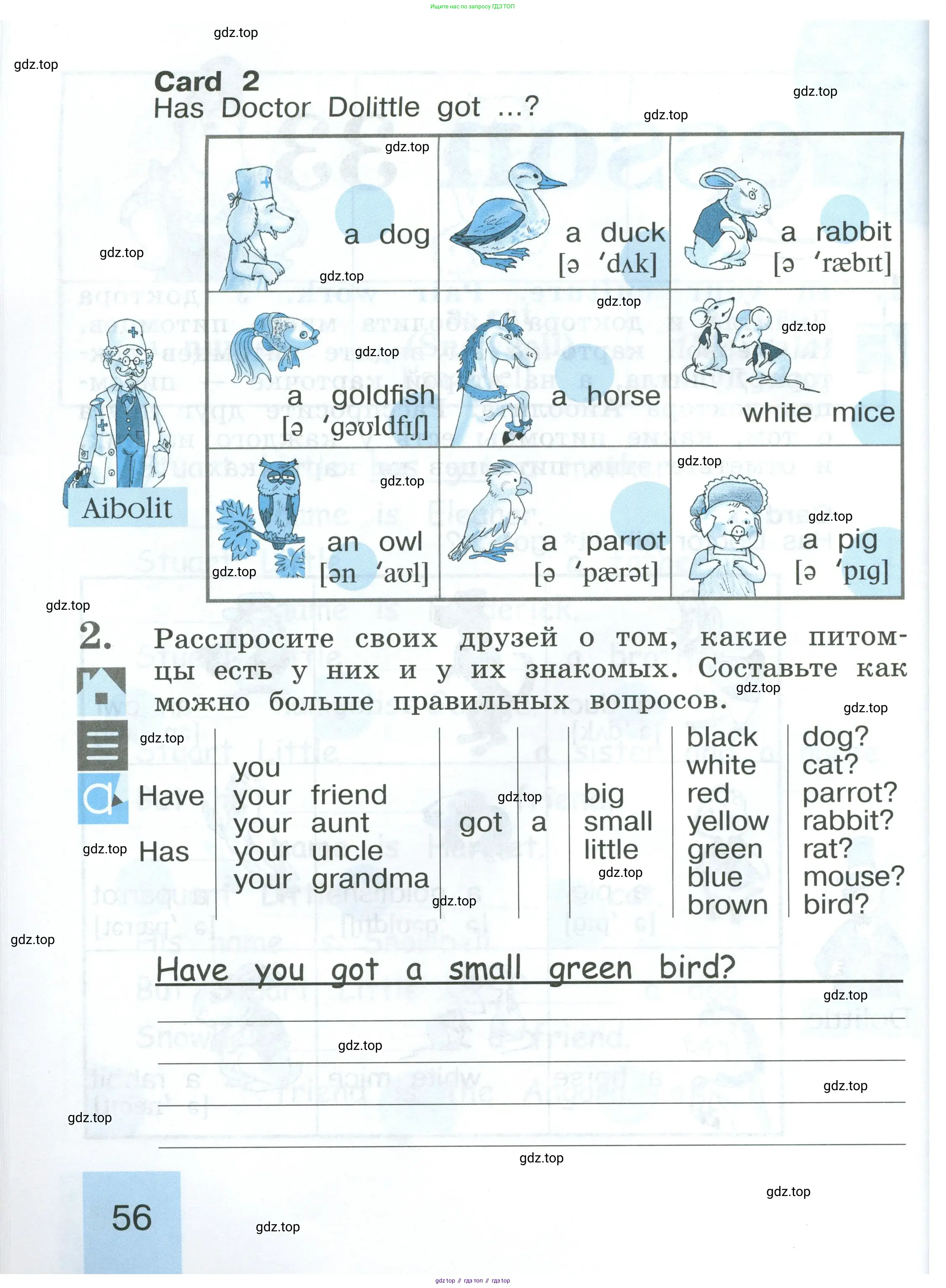 Английский язык (english), 2 класс рабочая тетрадь (activity book), авторы: Кузовлев Владимир Петрович (Kuzovlev Vladimir), Перегудова Эльвира Шакировна, Пастухова Светлана Анатольевна (Pastukhova Svetlana), Стрельникова Ольга Викторовна (Strelnikova Olga), издательство Просвещение, Москва, 2023, розового цвета, страница 56