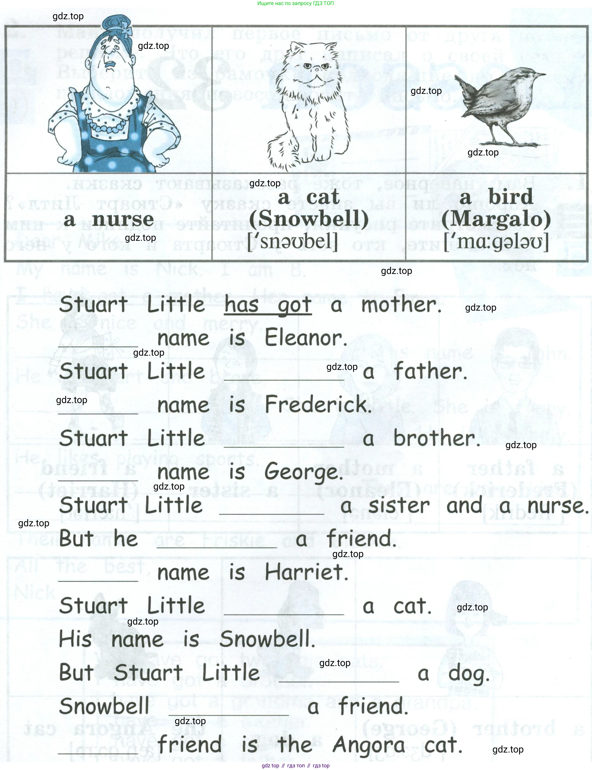 Английский язык (english), 2 класс рабочая тетрадь (activity book), авторы: Кузовлев Владимир Петрович (Kuzovlev Vladimir), Перегудова Эльвира Шакировна, Пастухова Светлана Анатольевна (Pastukhova Svetlana), Стрельникова Ольга Викторовна (Strelnikova Olga), издательство Просвещение, Москва, 2023, розового цвета, страница 53, Условие (продолжение 2)